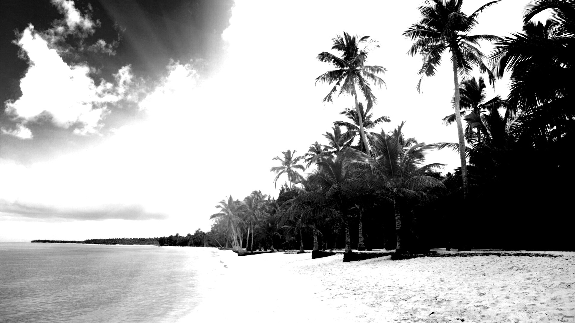 Тропическое побережье обои