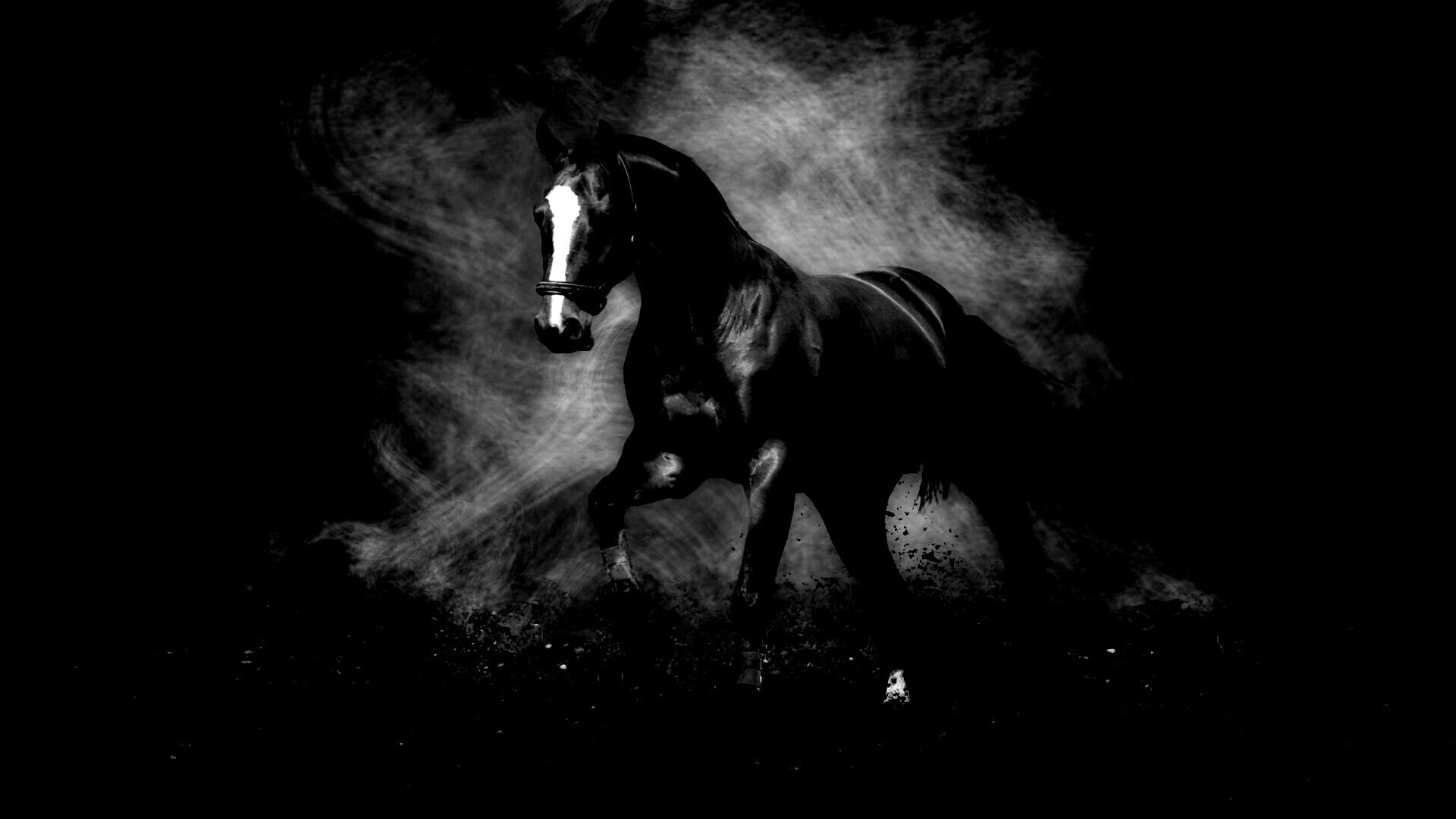 Лошадь обои