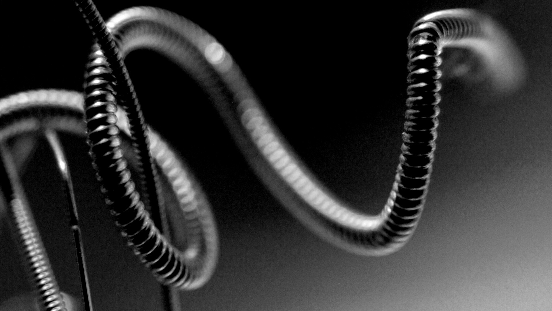 Пружина обои