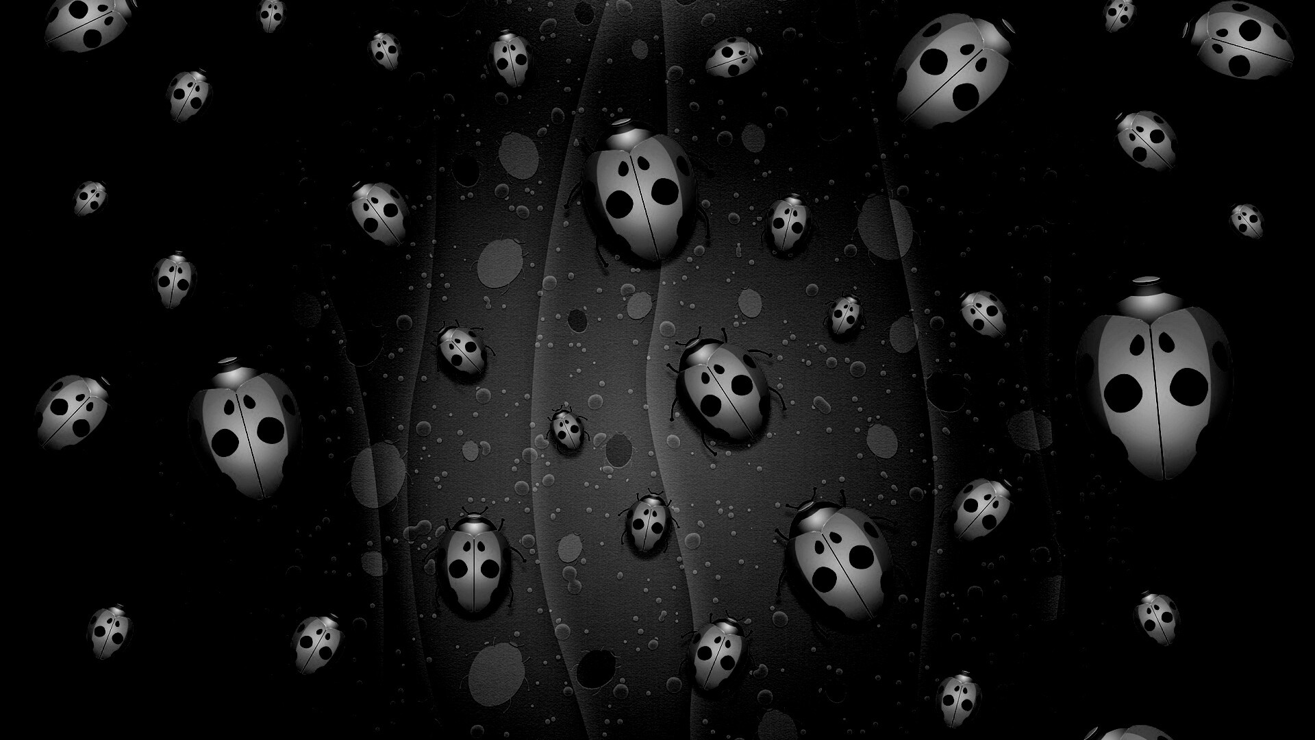 Божьи коровки обои