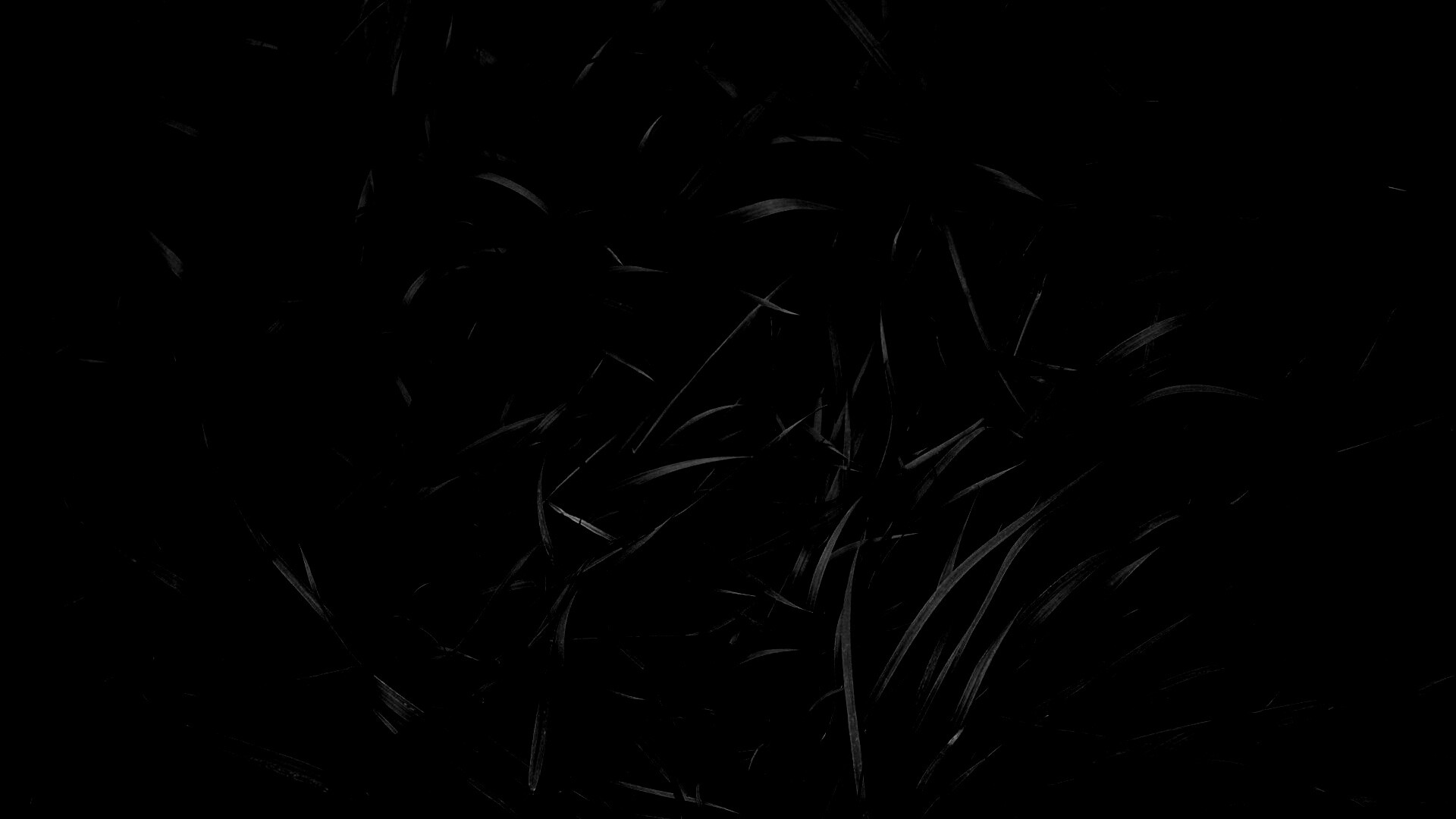 Зеленая трава обои