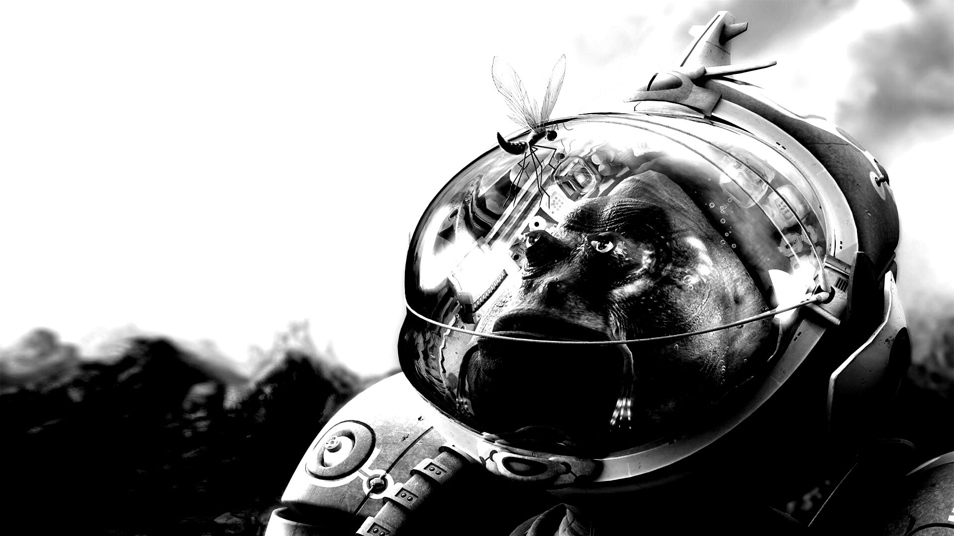 Инопланетянин и стрекоза обои