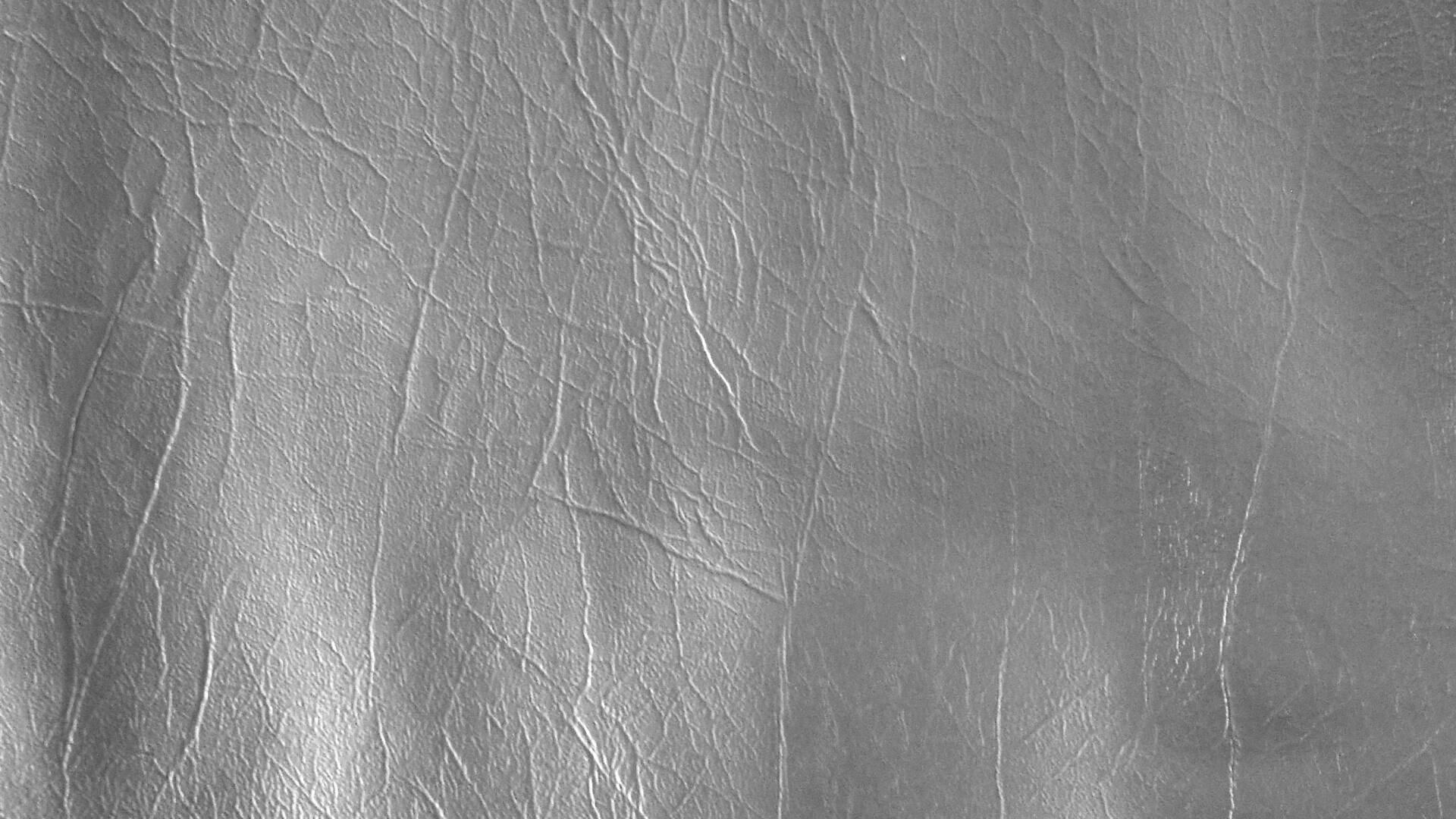 Текстура кожи обои