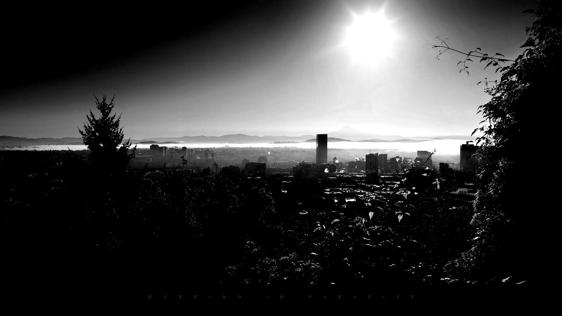 Утро в раю обои