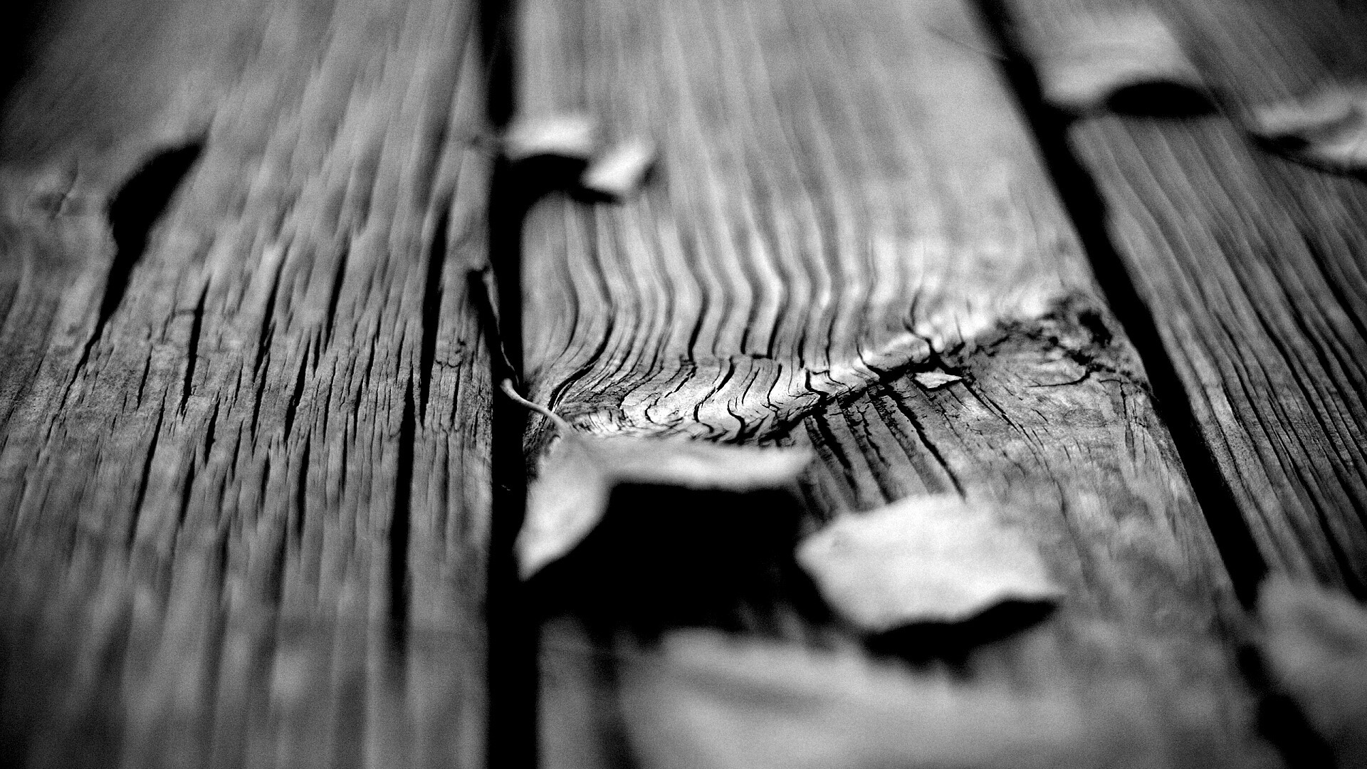 Листья на дощатом полу обои