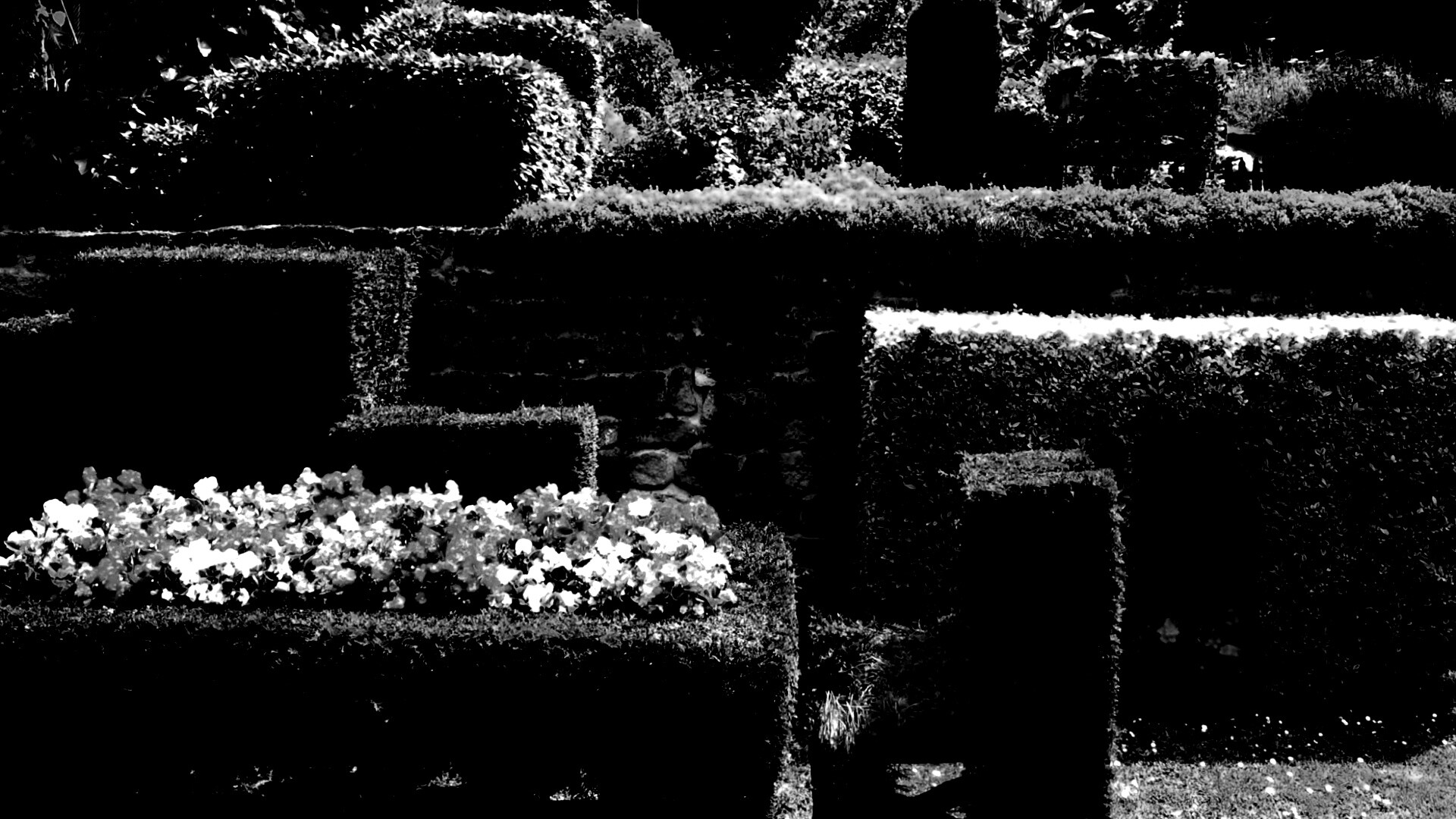 Декоративный сад обои