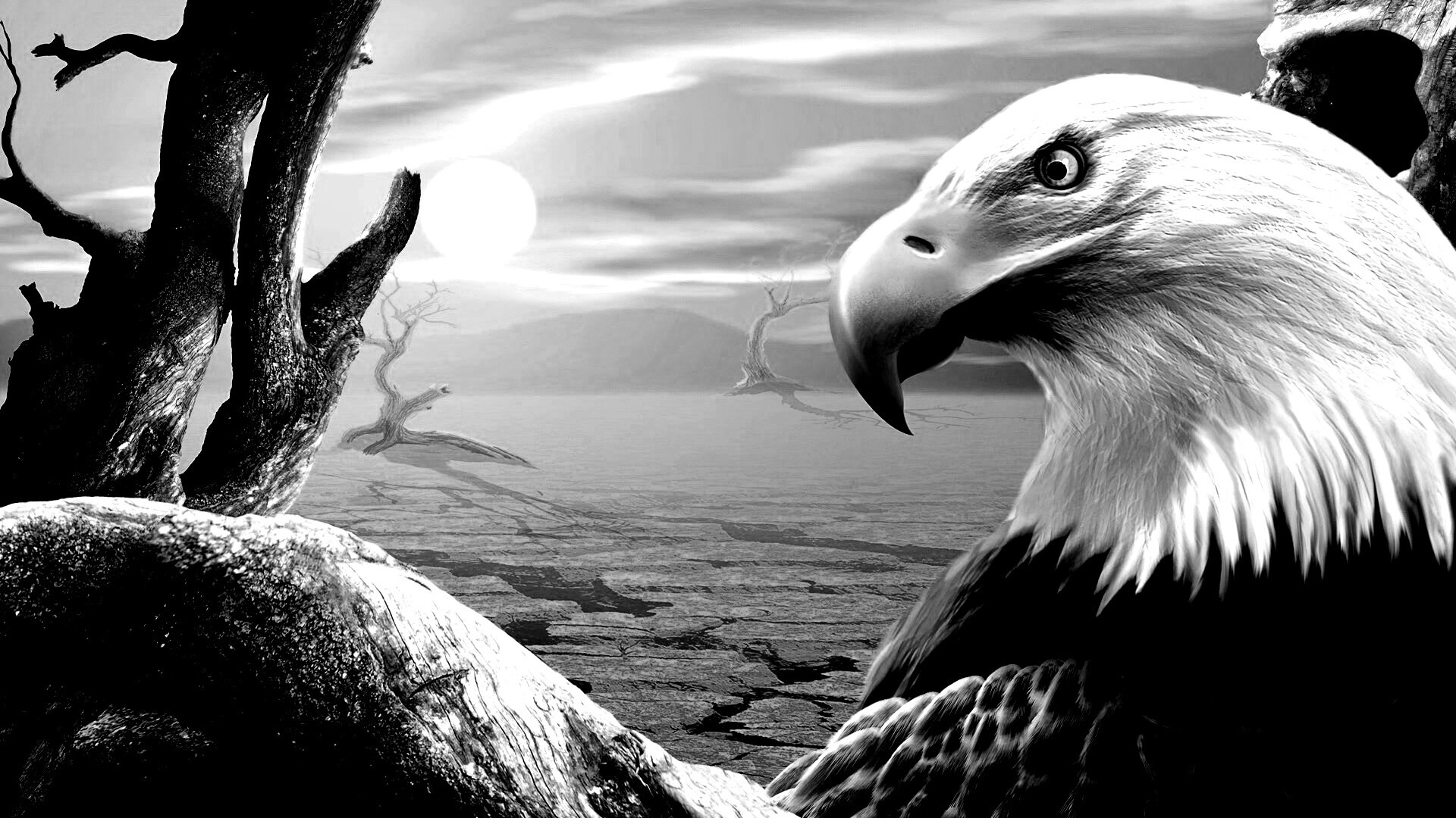 Нарисованный орел обои