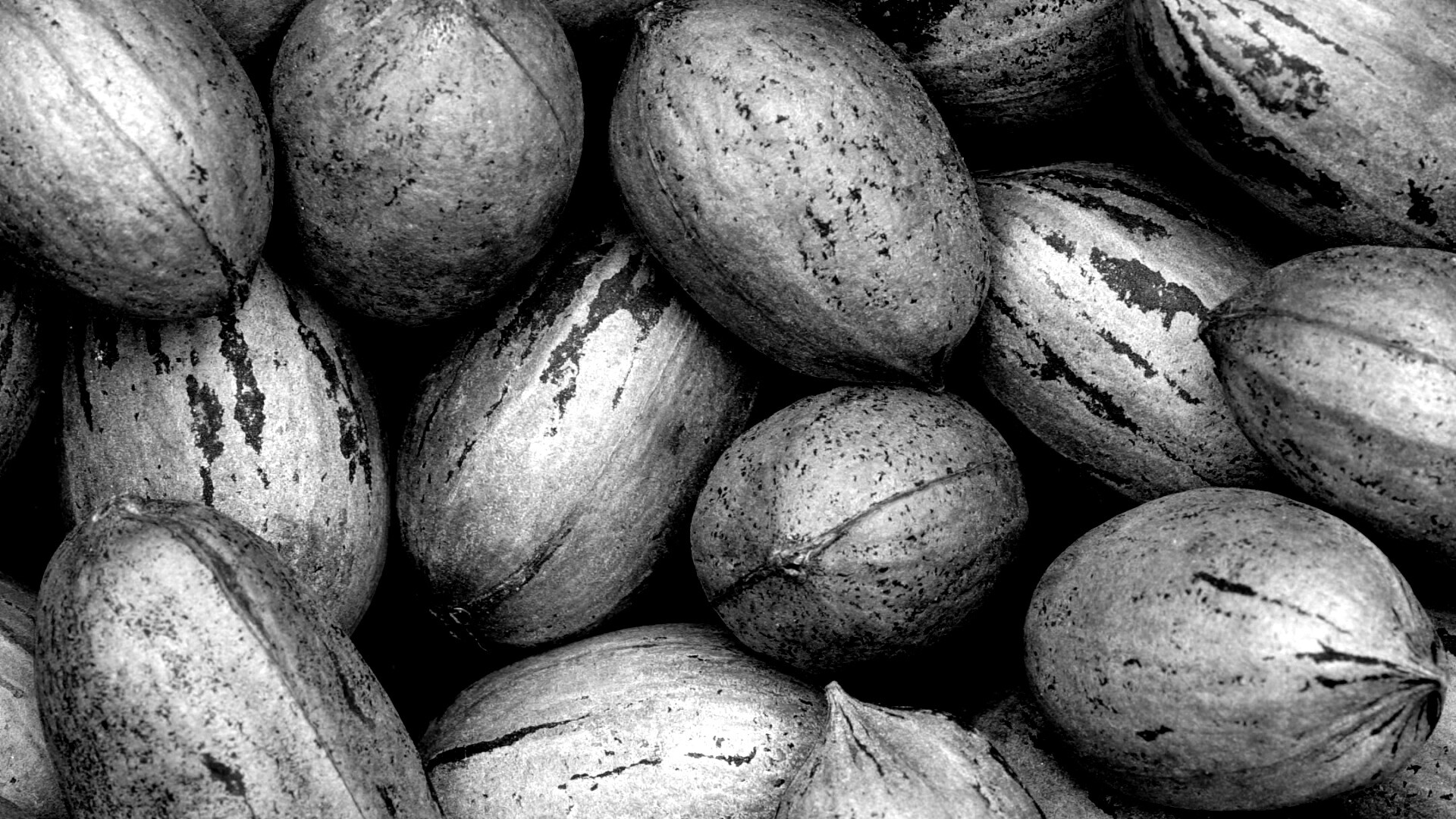 Грецкие орехи обои