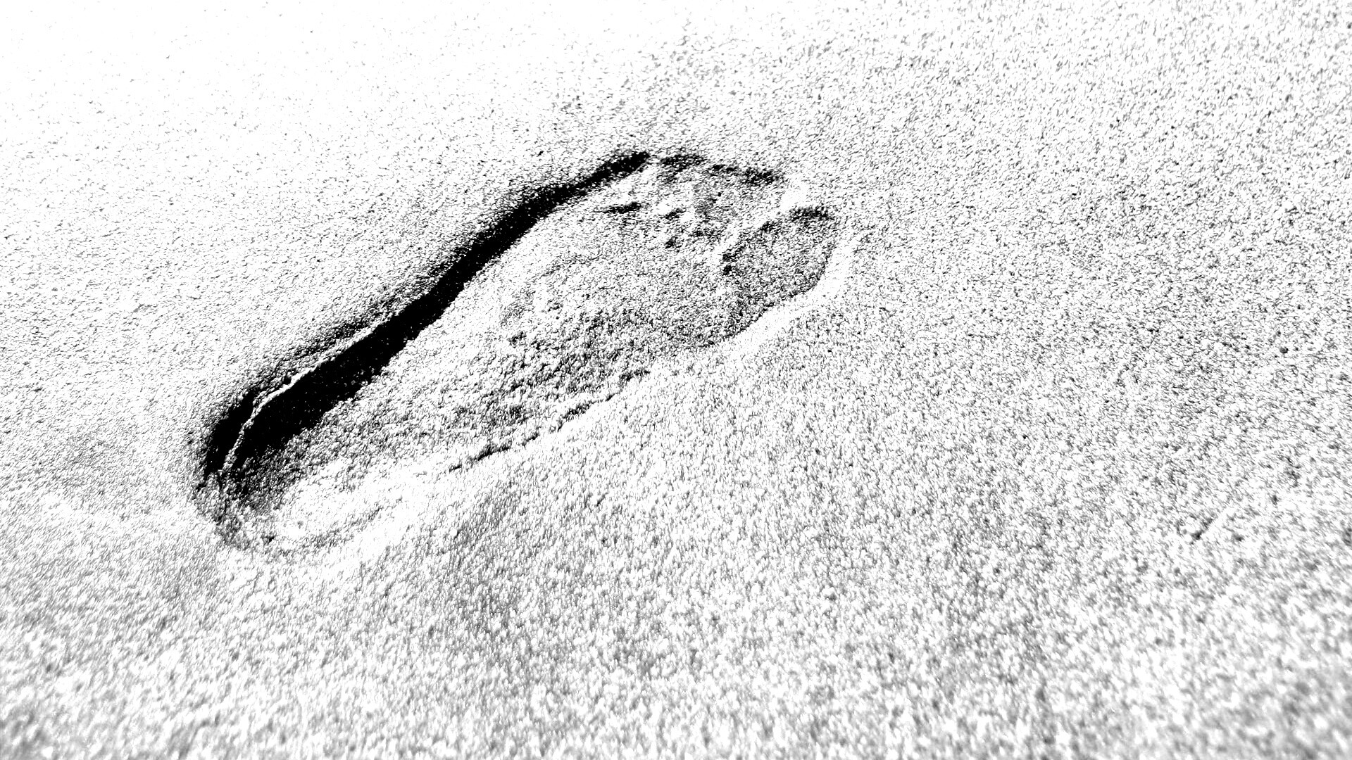 Отпечаток ноги обои