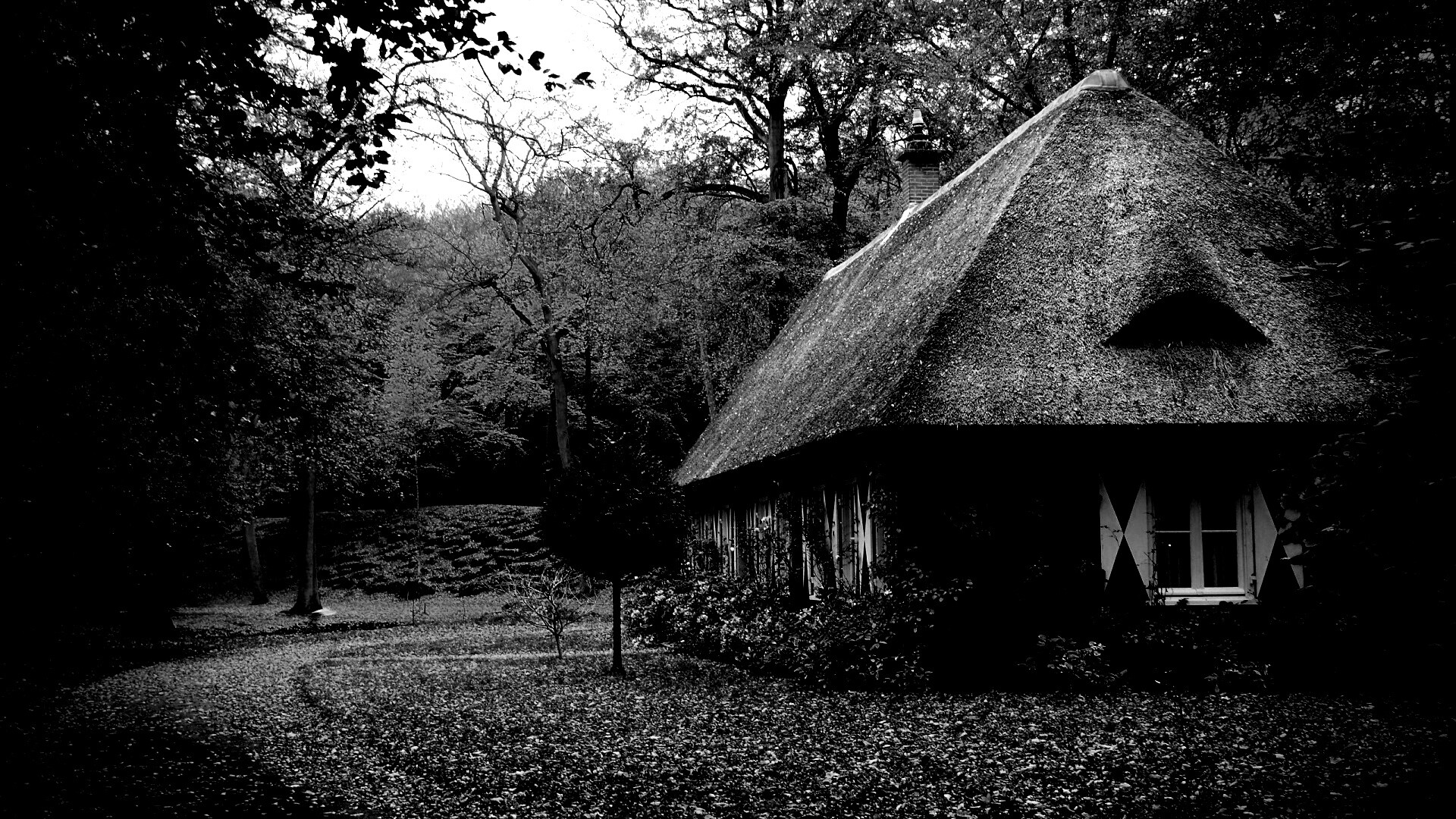 Домик в осеннем лесу обои