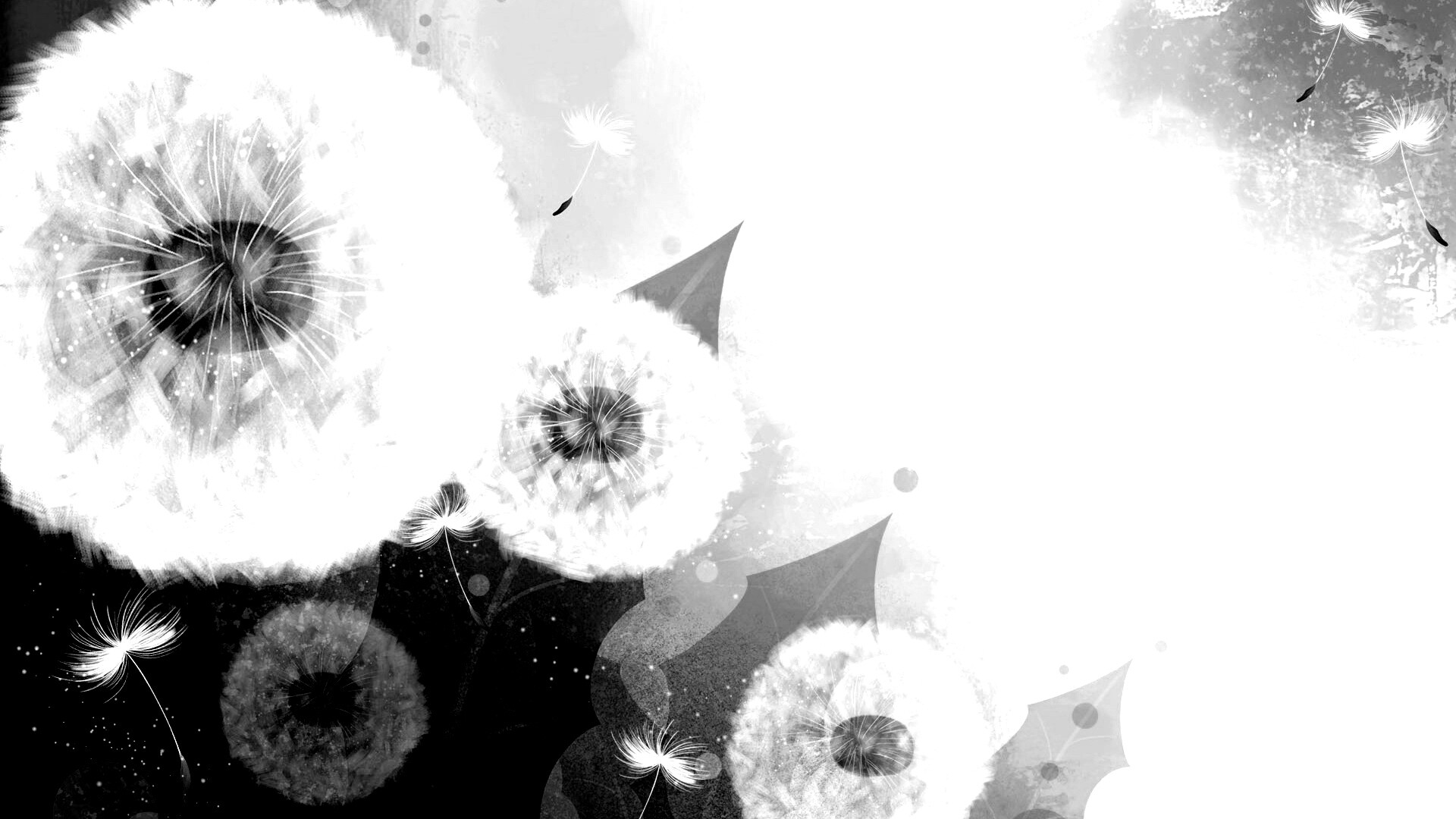 Одуванчики обои