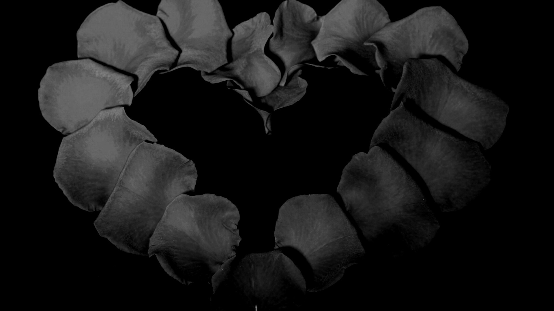 Красивое сердце обои