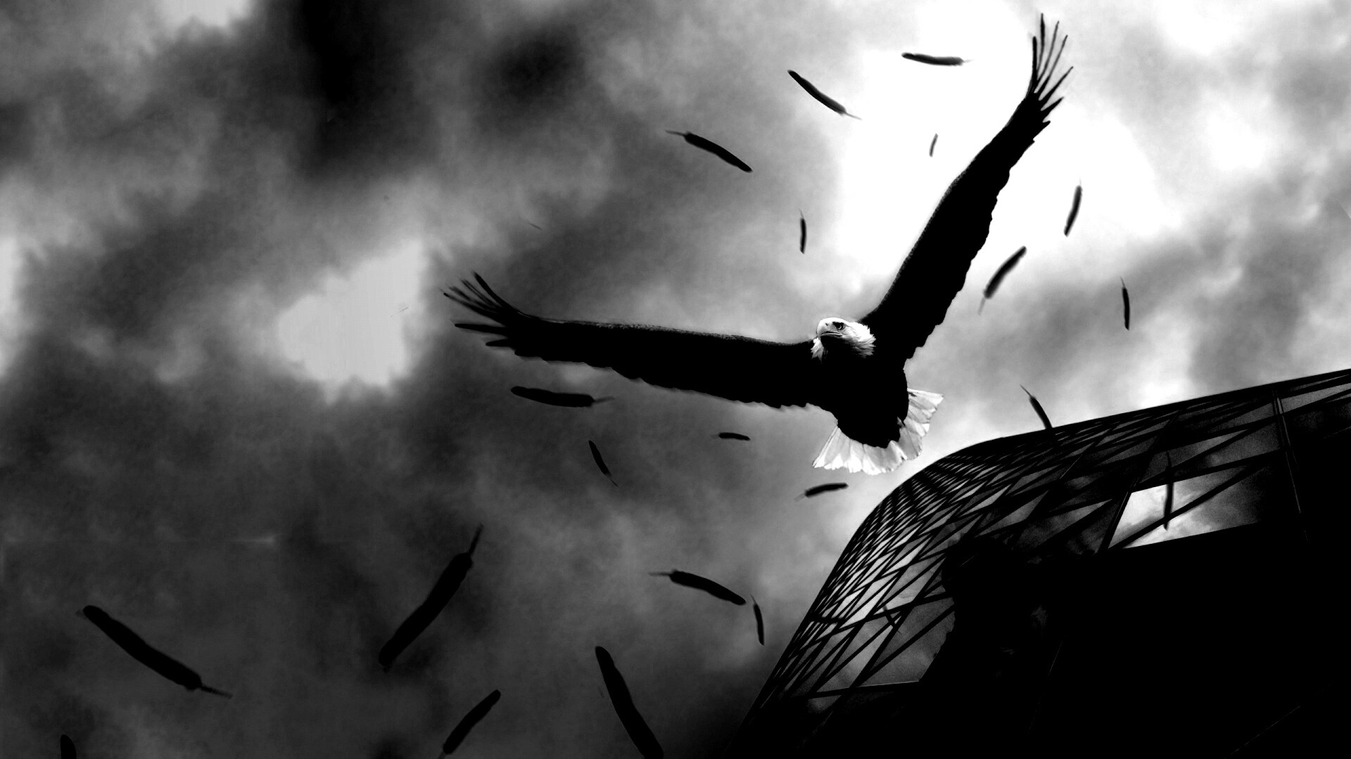 Орлиный полет обои