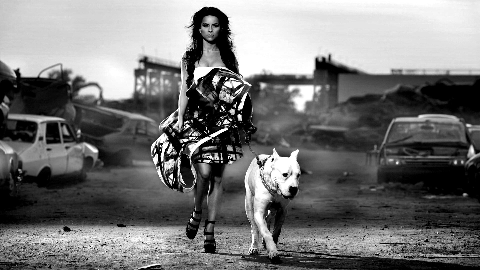 Девушка с питбулем обои