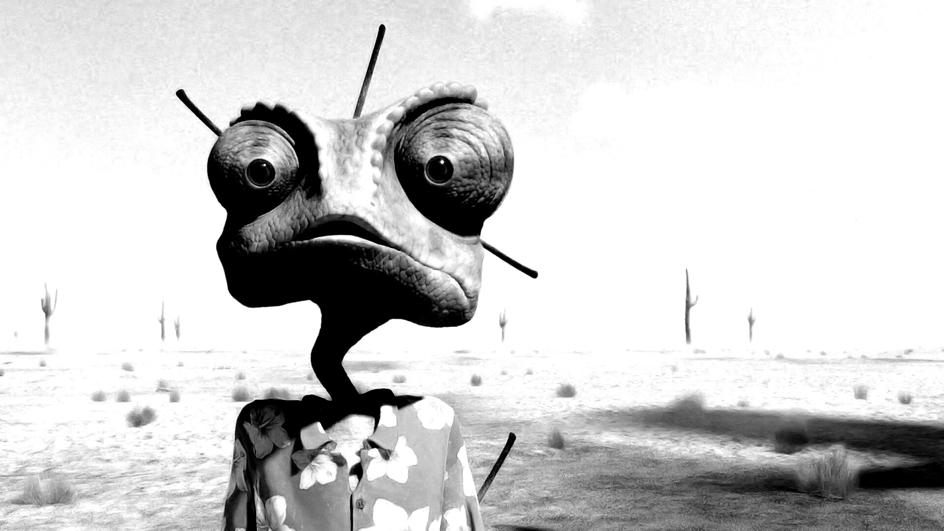 Ранго в колючках от кактуса обои