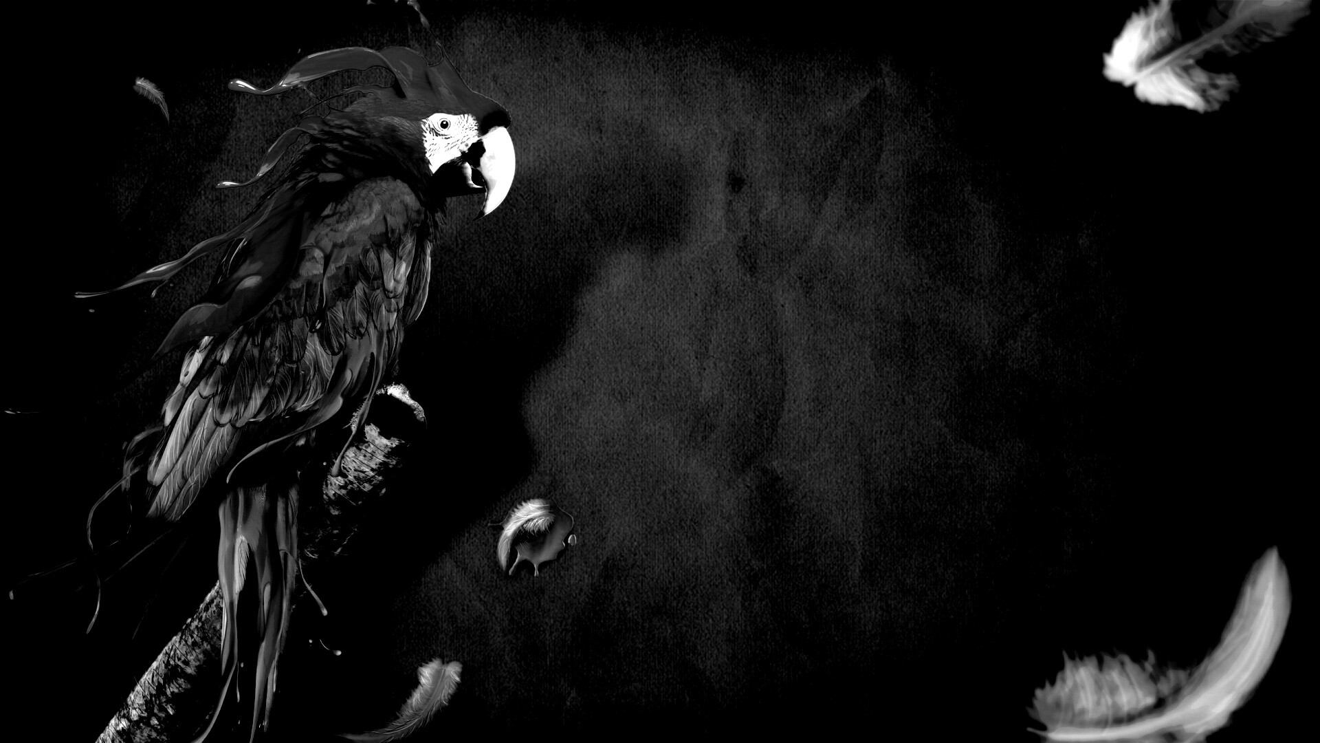 Попугай на ветке обои