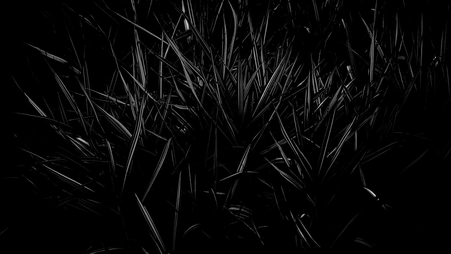 Дикая трава обои