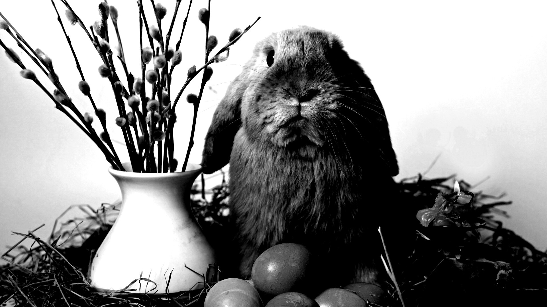 Пасхальный кролик обои