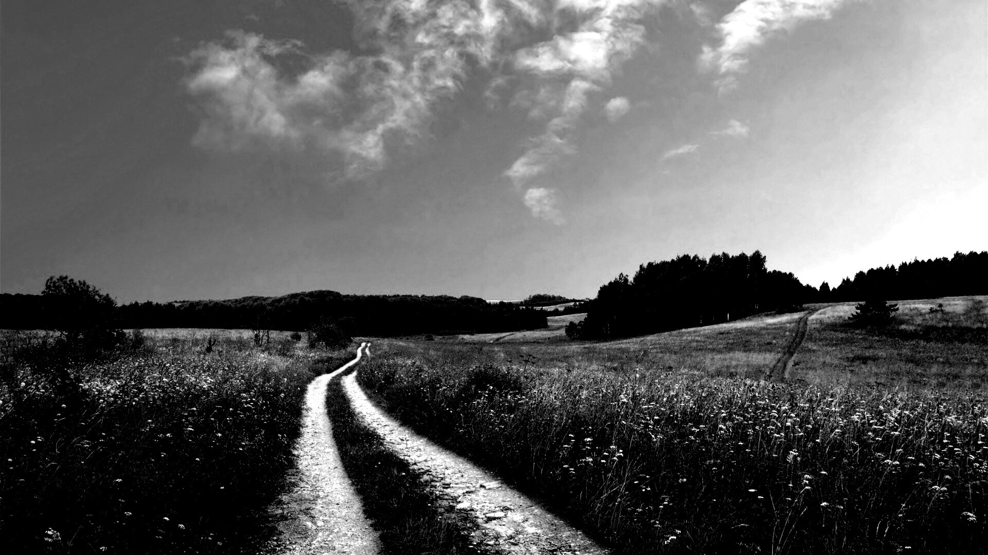 Дорога через луг обои