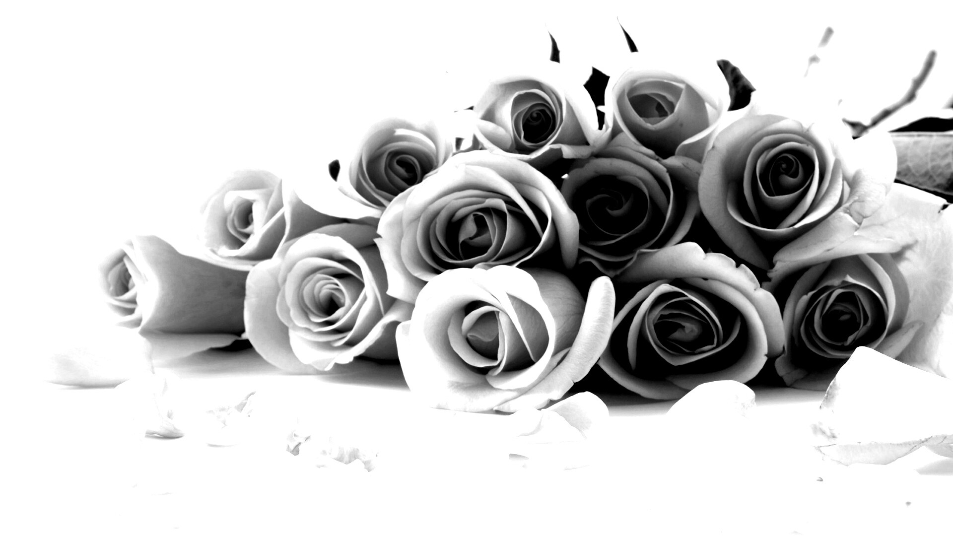 Букет роз обои