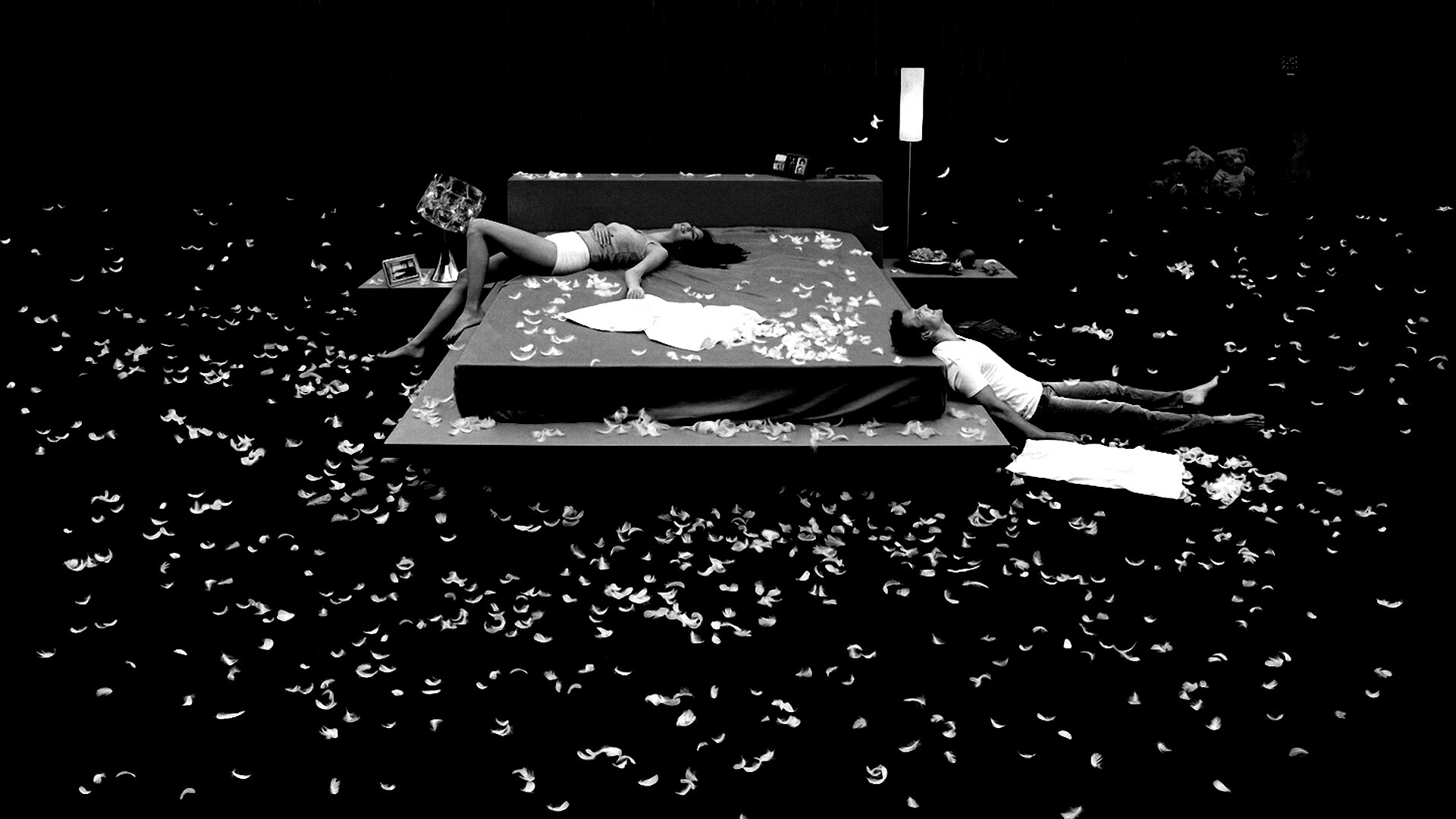 На поле брани.. подушками обои