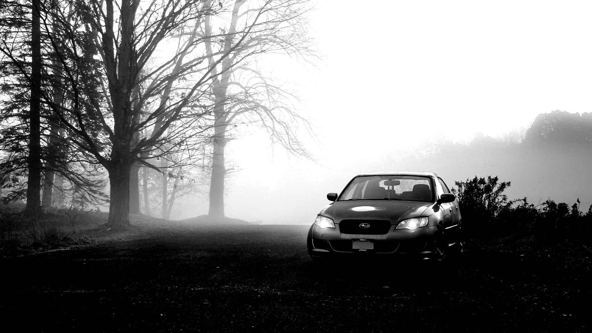 Лексус обои