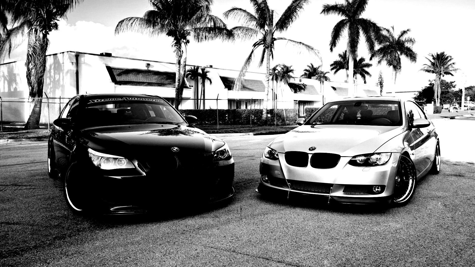 Две БМВ обои