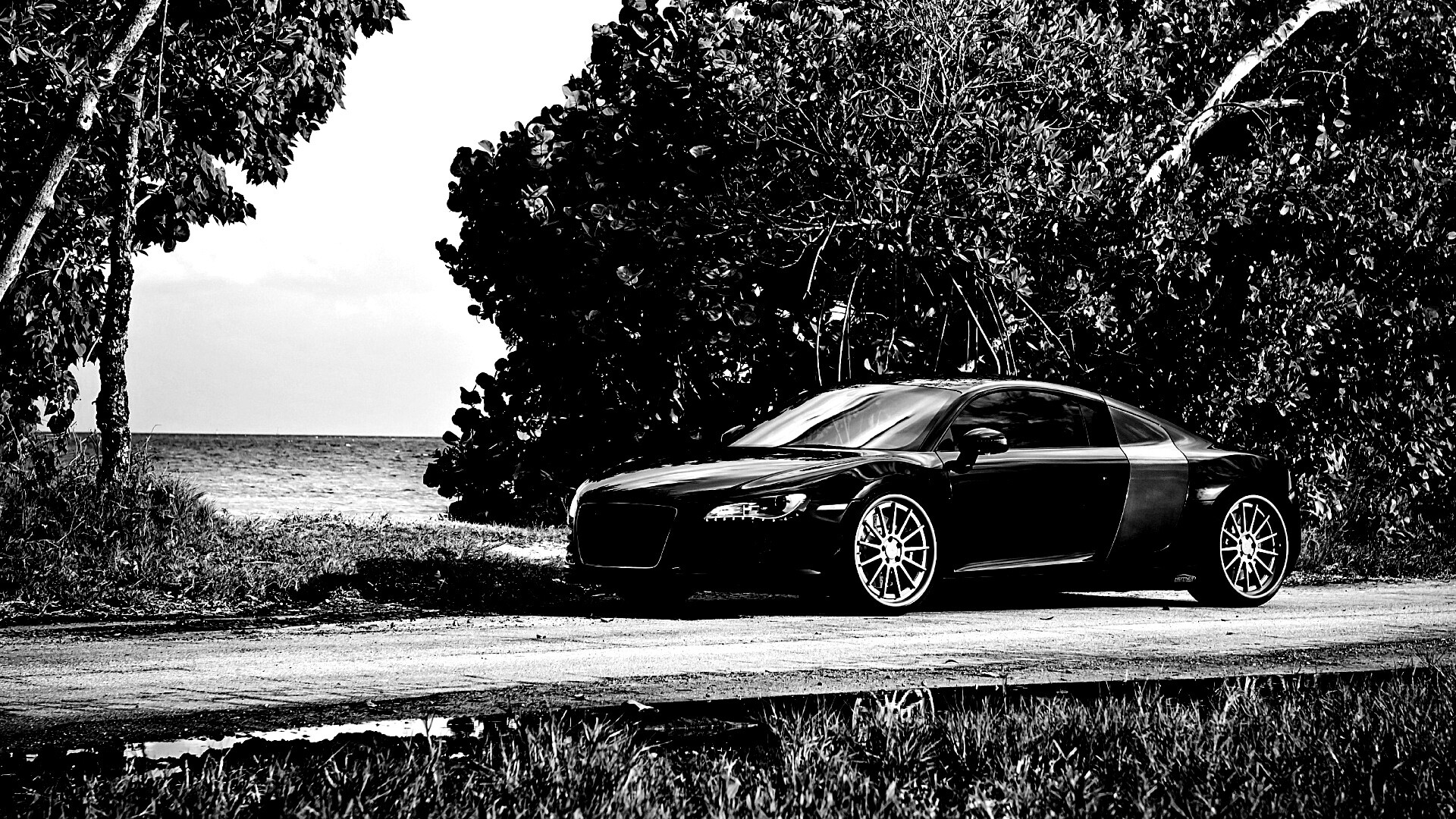 Audi R8 обои