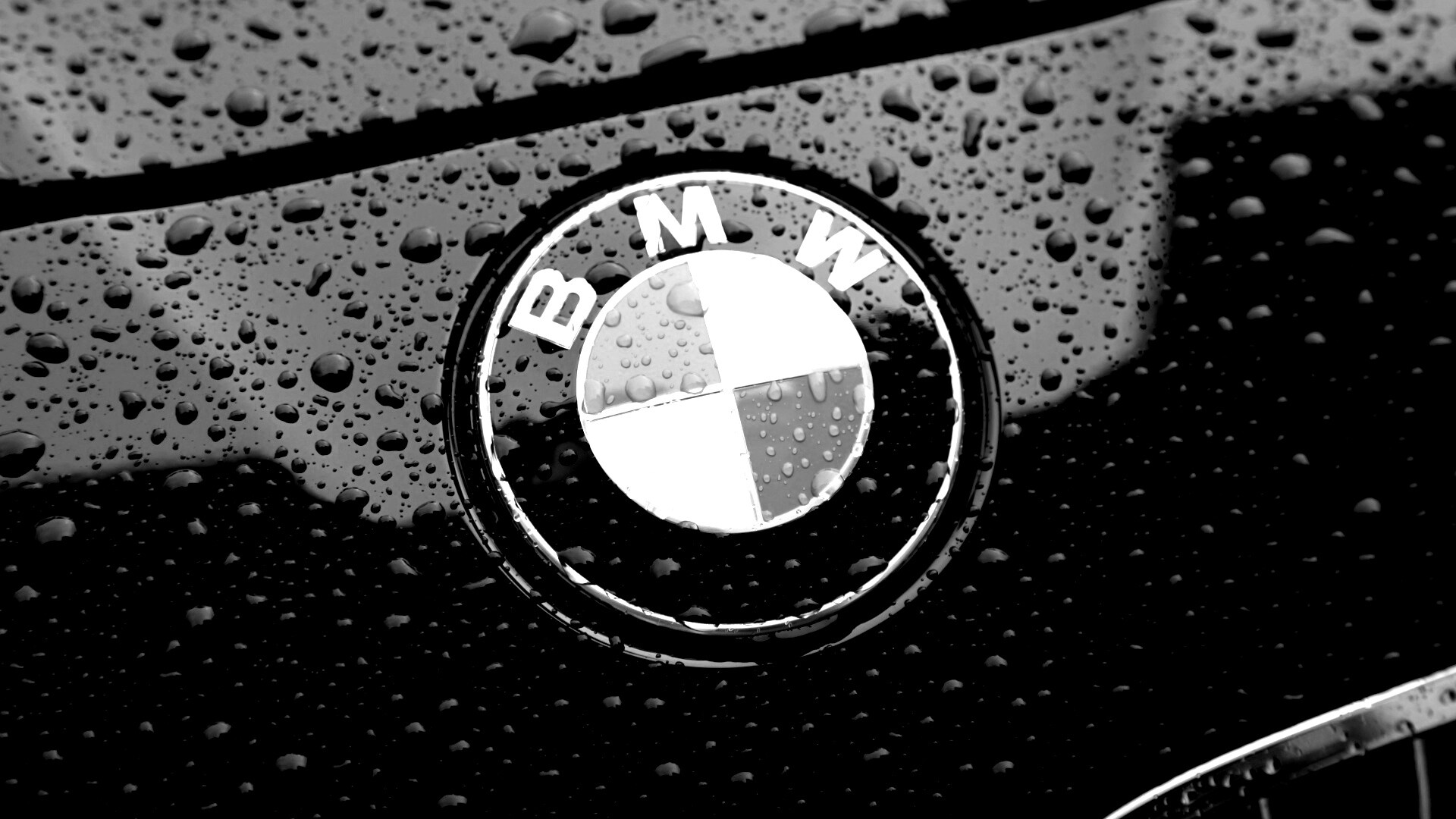 Эмблема БМВ обои