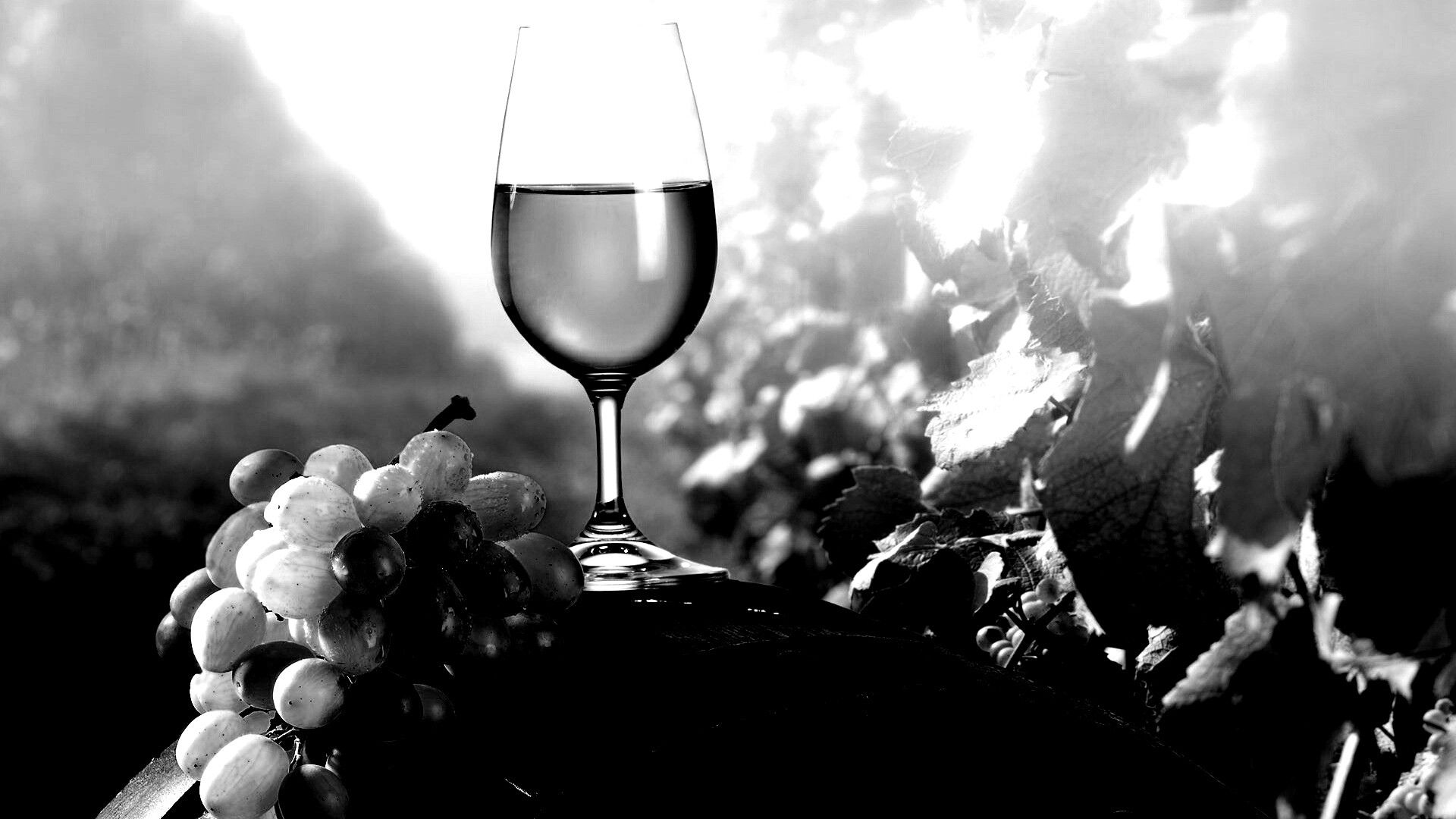 Винная бочка и бокал с белым вином обои