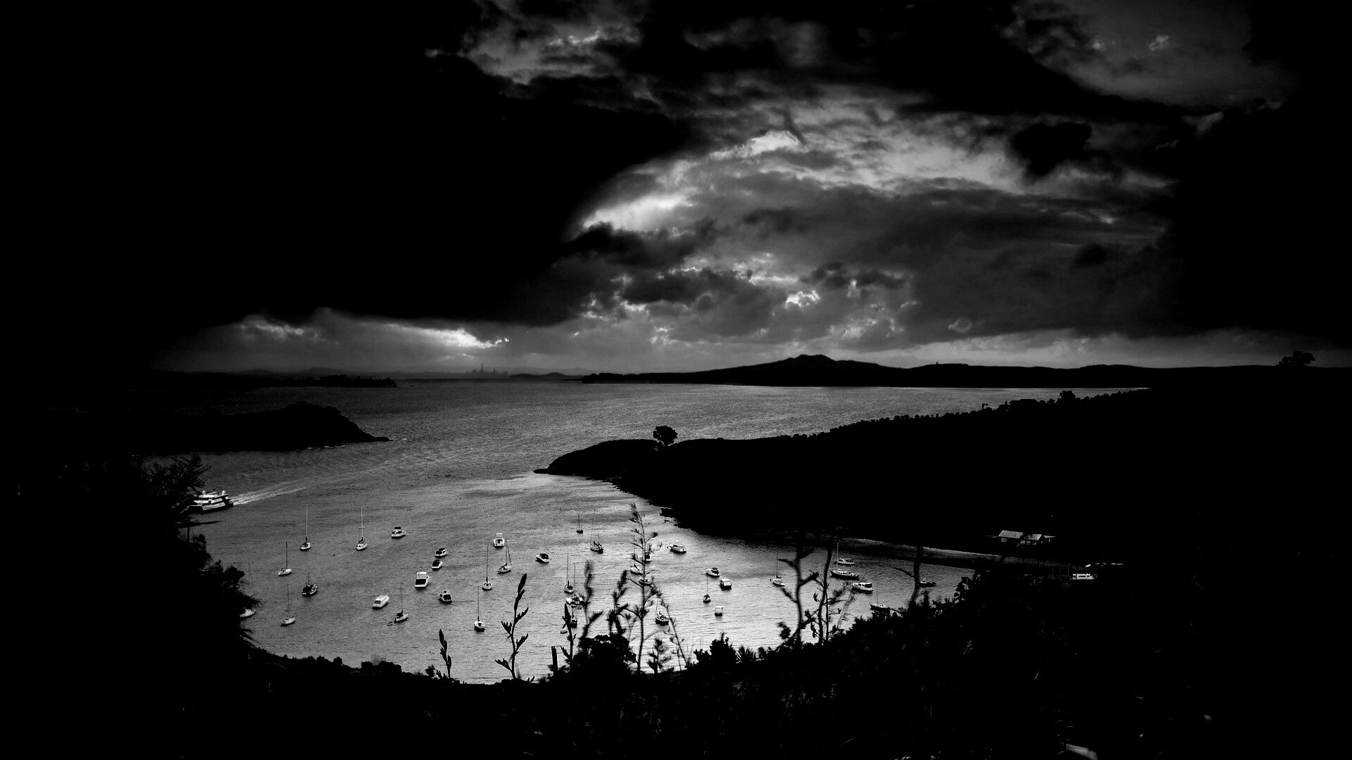 Waiheke Island, New Zealand обои