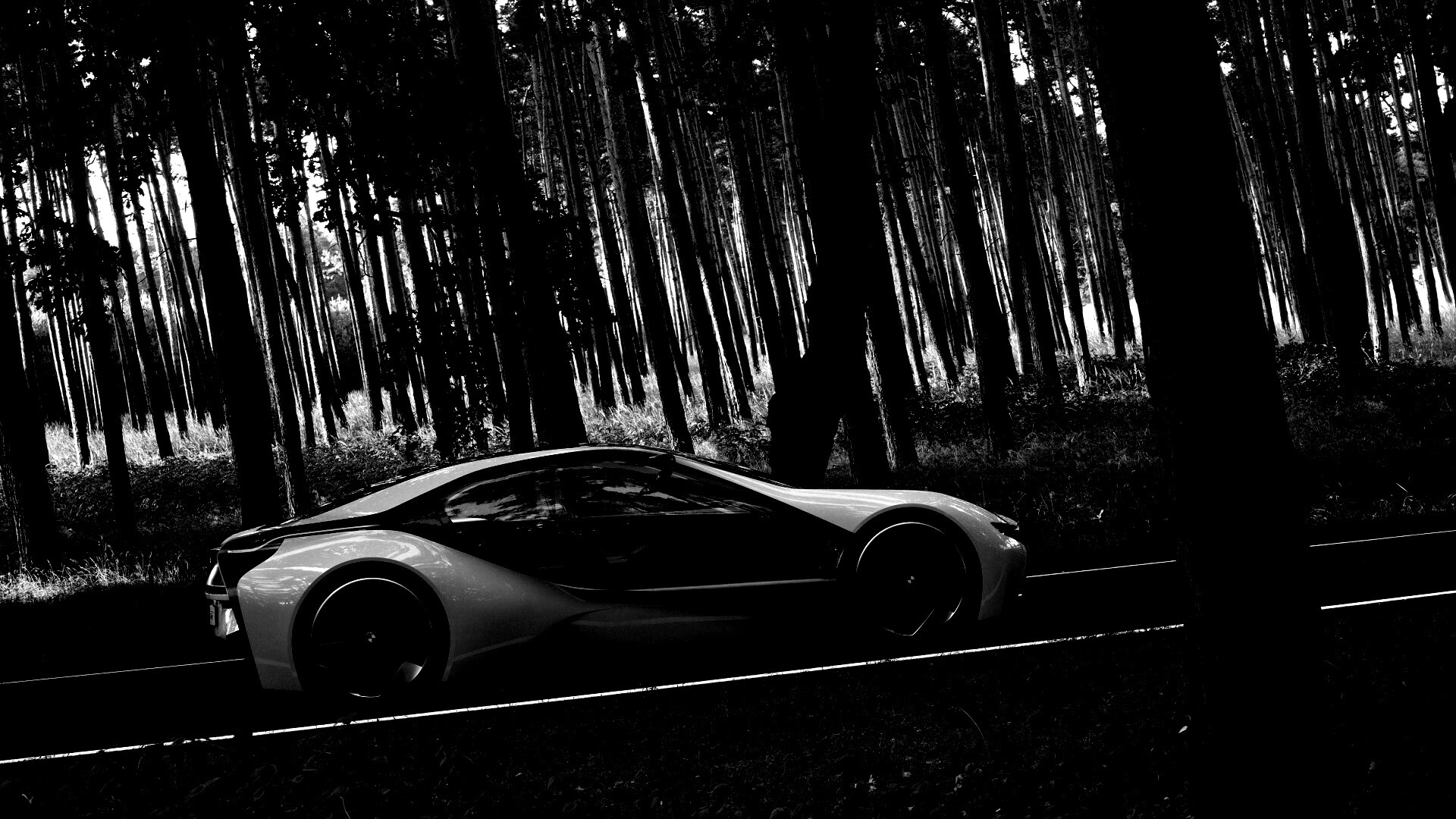 Спорткар BMW на лесной дороге обои