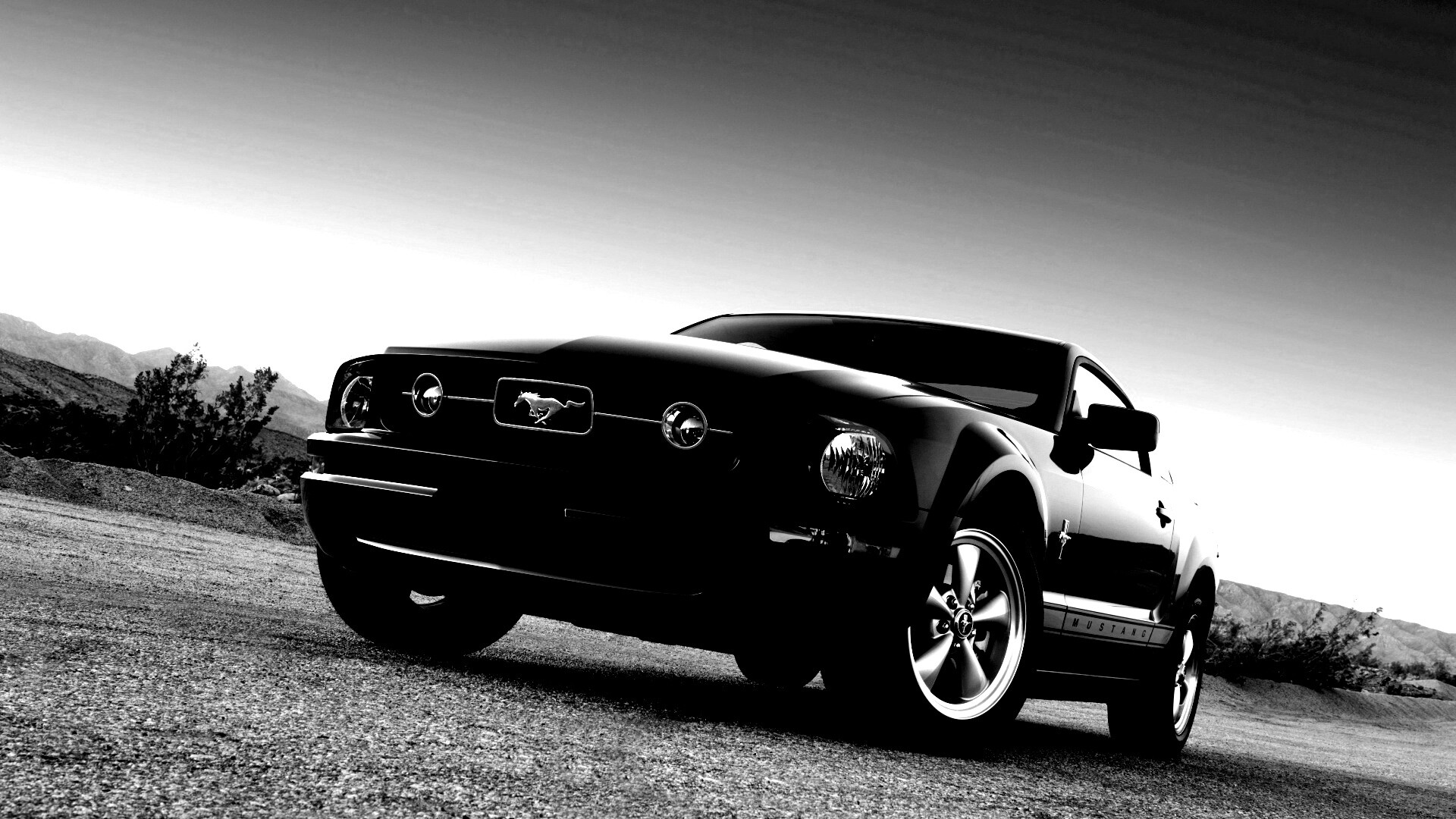 Форд Мустанг обои