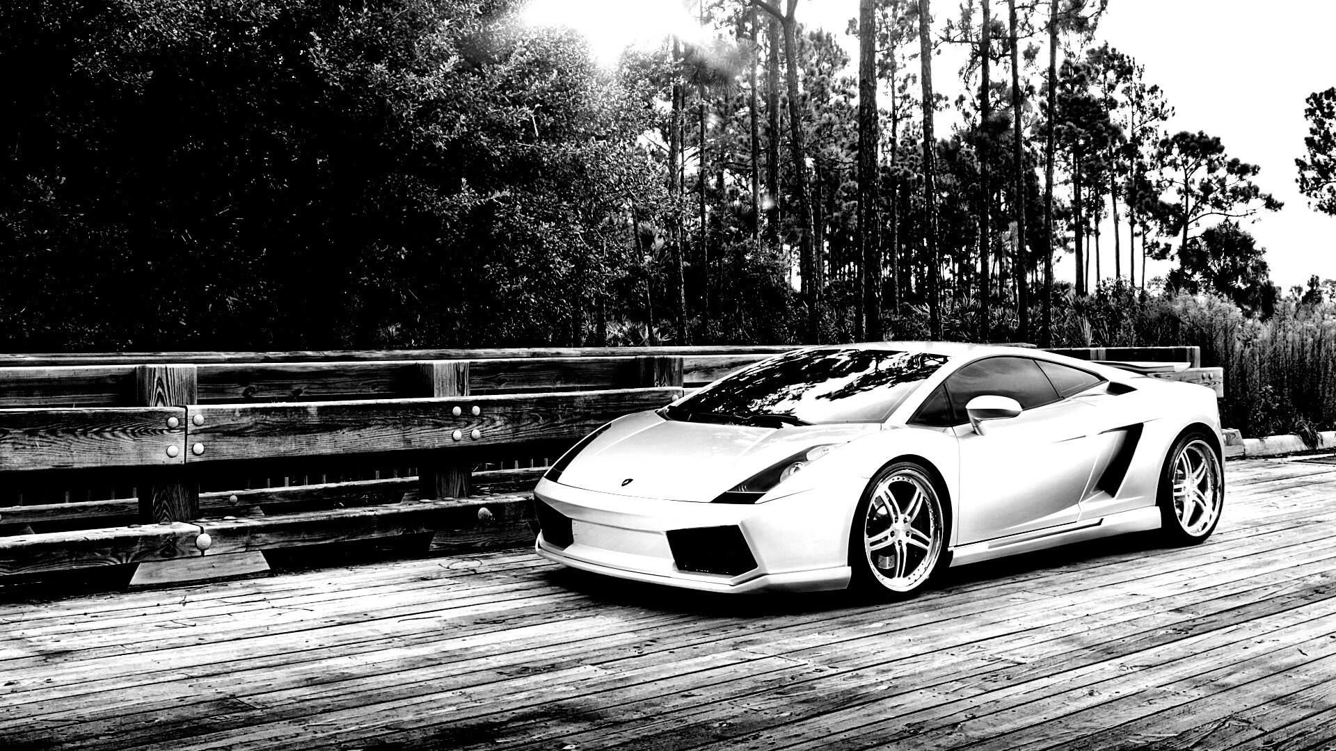 Ламбоджини на мосту в лесу обои