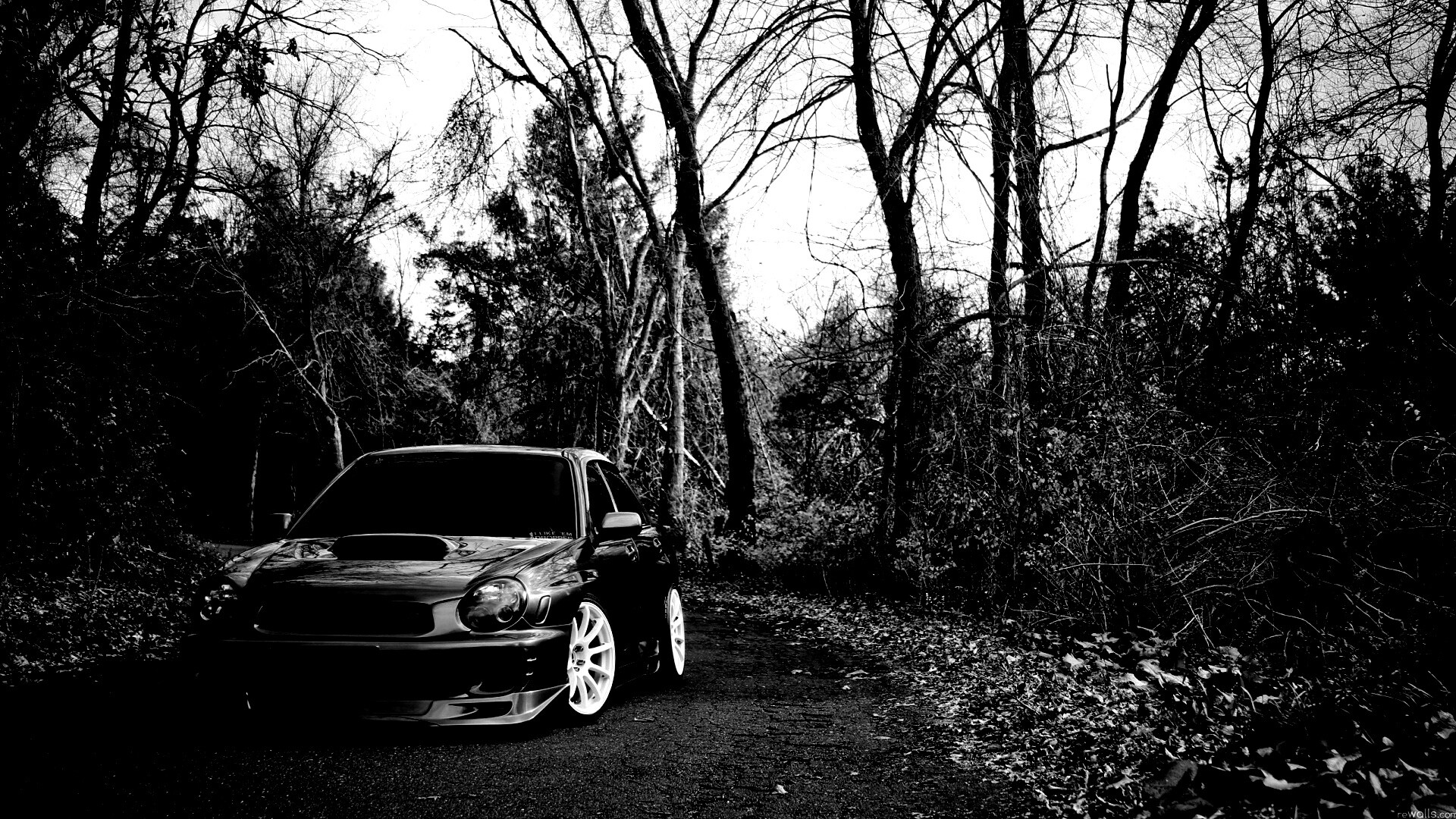 Субару Импреза на лесной дороге обои