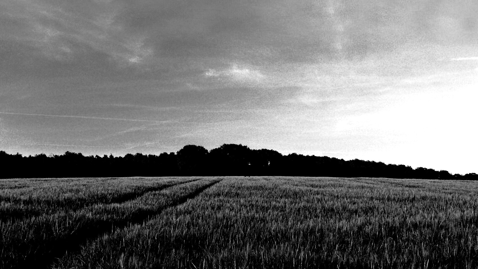 Следы колеи в поле обои