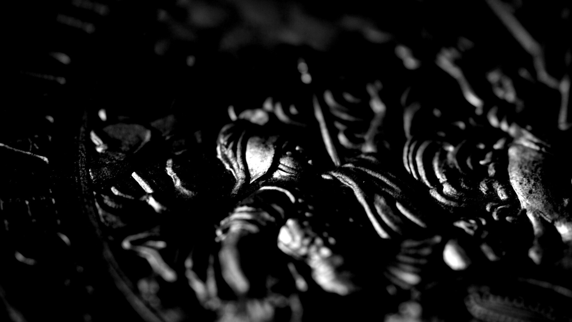 Монета в макро обои