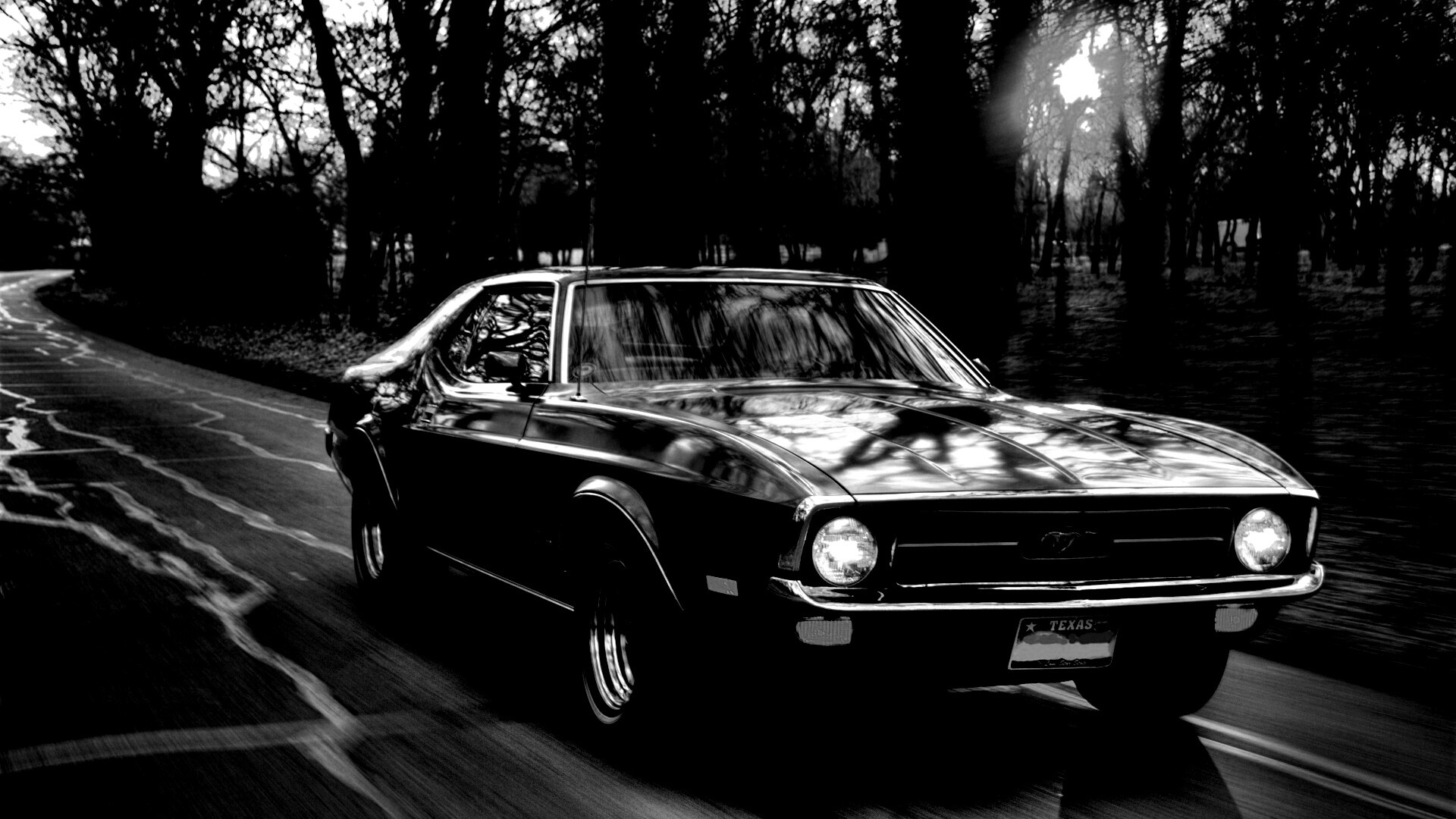 Мустанг обои