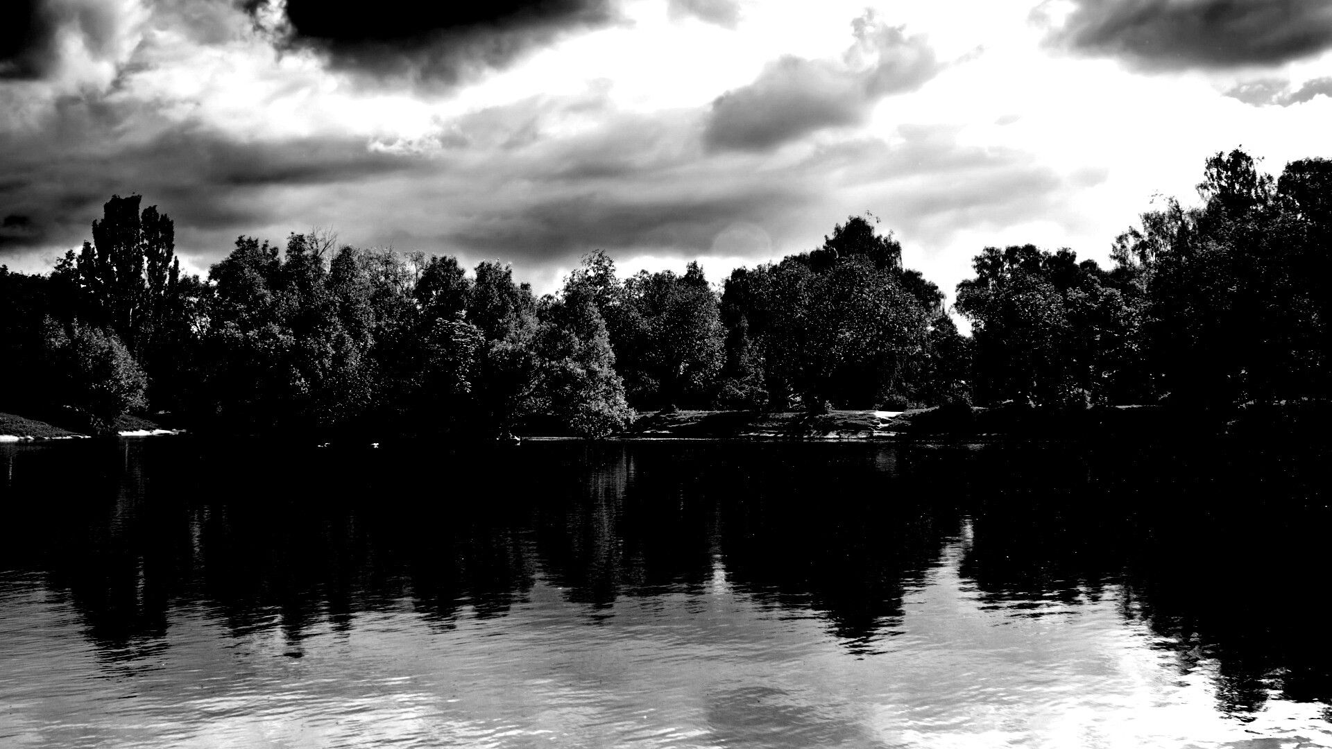 Деревья на берегу озера обои