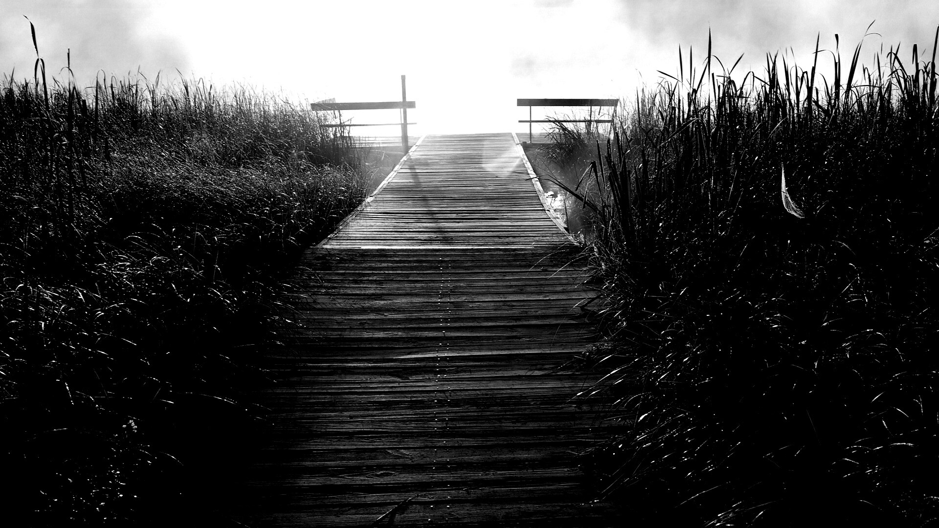 Выход к реке обои