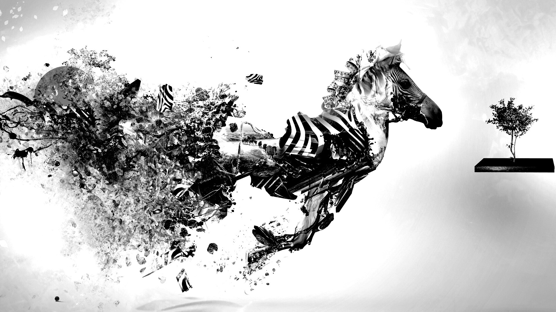 Зебра и бонсай обои