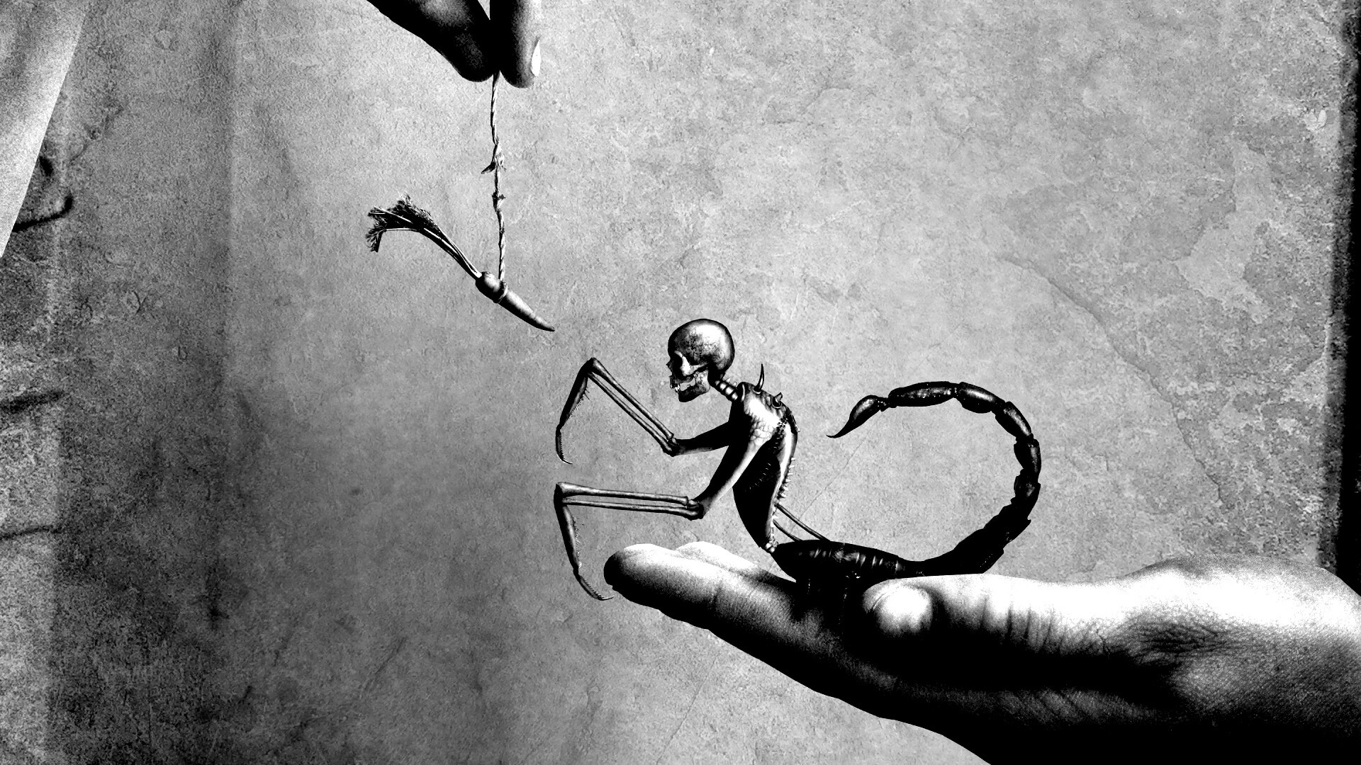 Кормёжка смерти обои