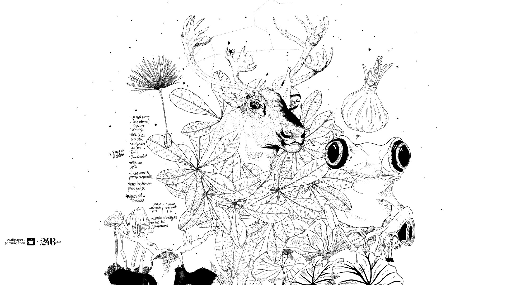 Животные на рабочий стол Apple обои