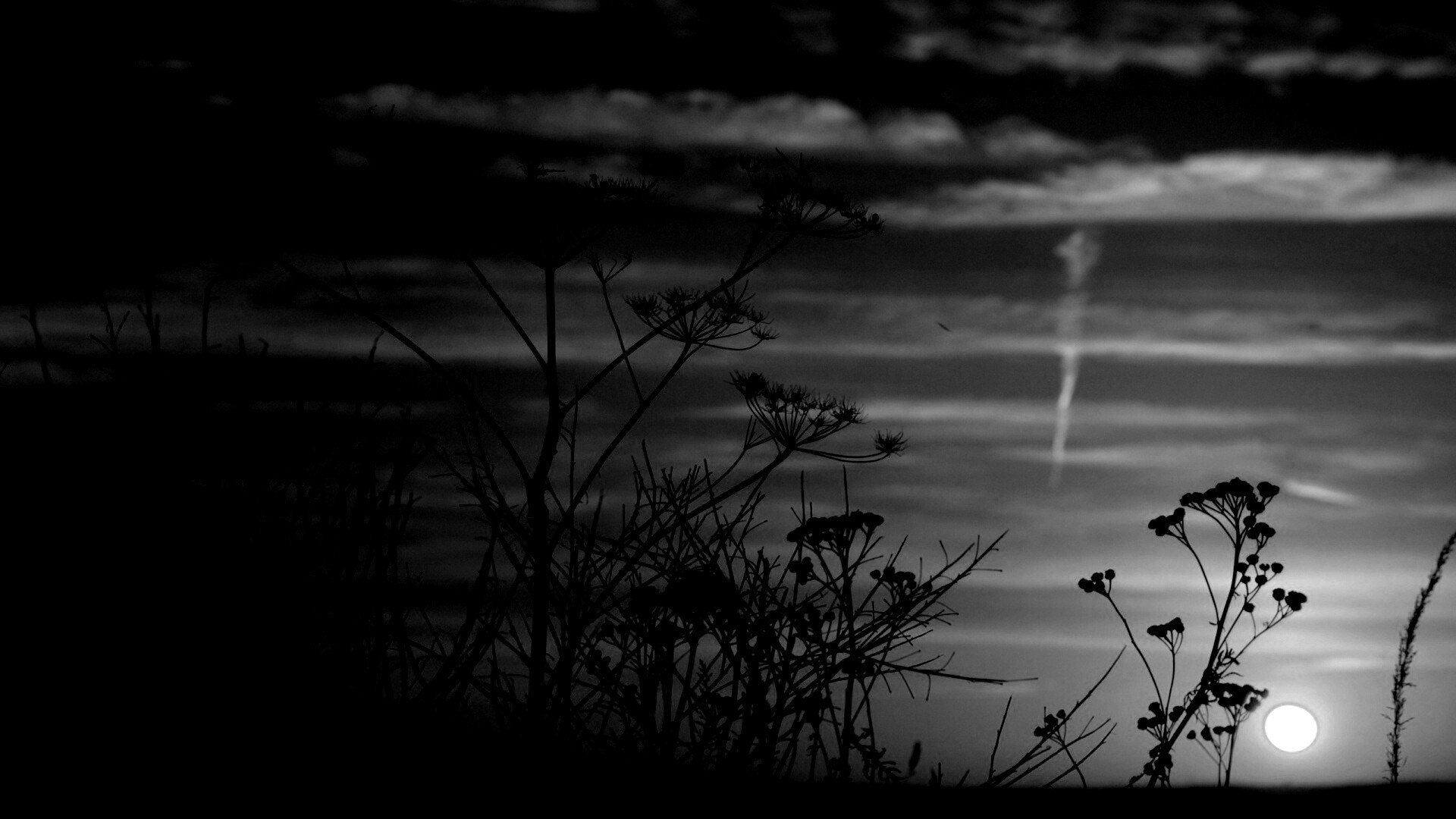 Степной закат обои