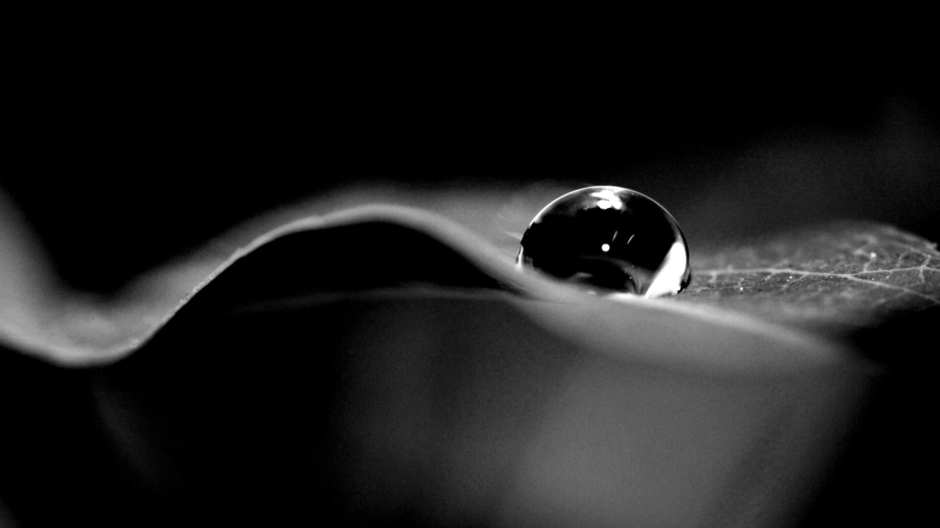 Фотография капли воды в макро обои