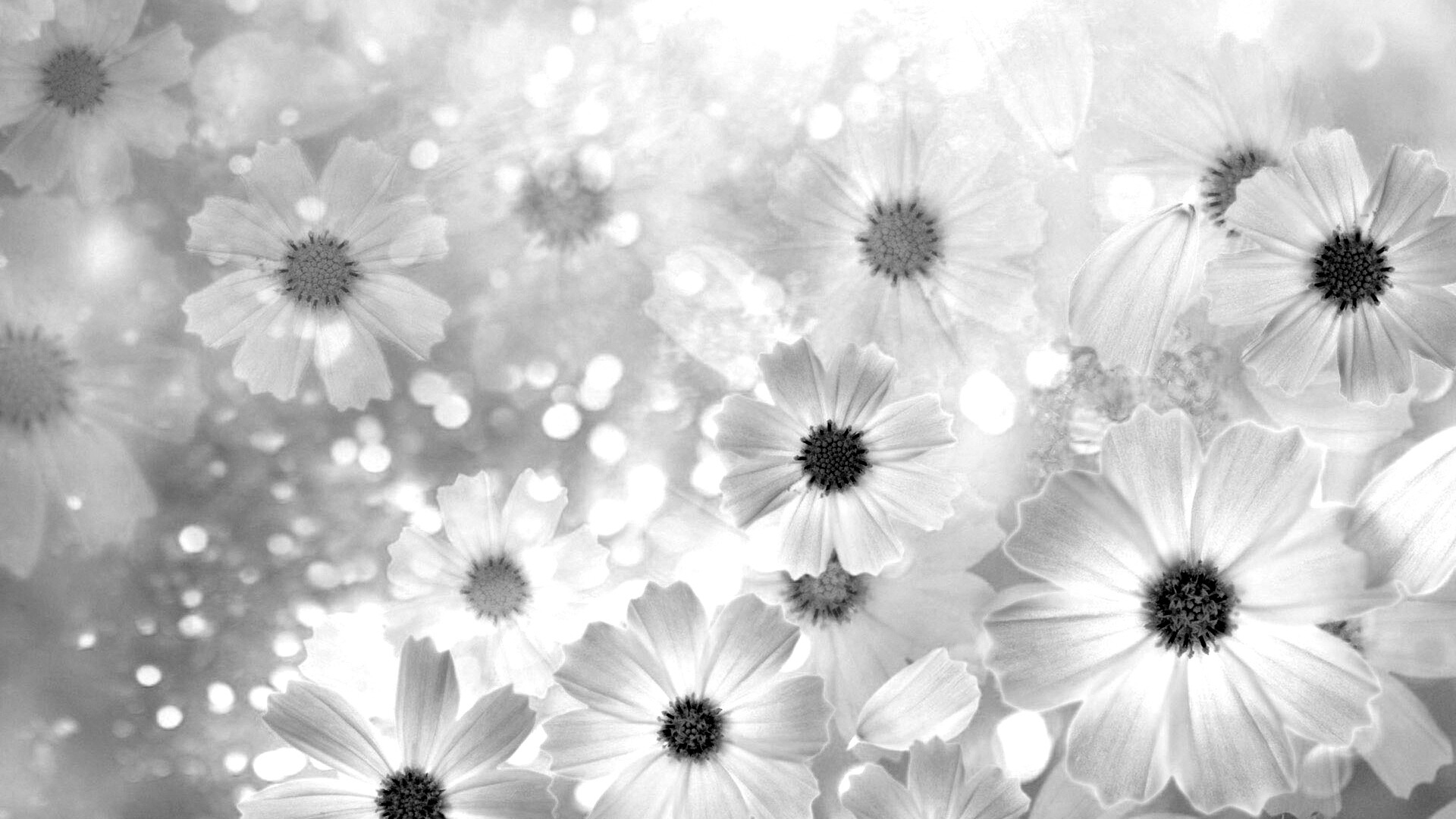 Цветочки обои