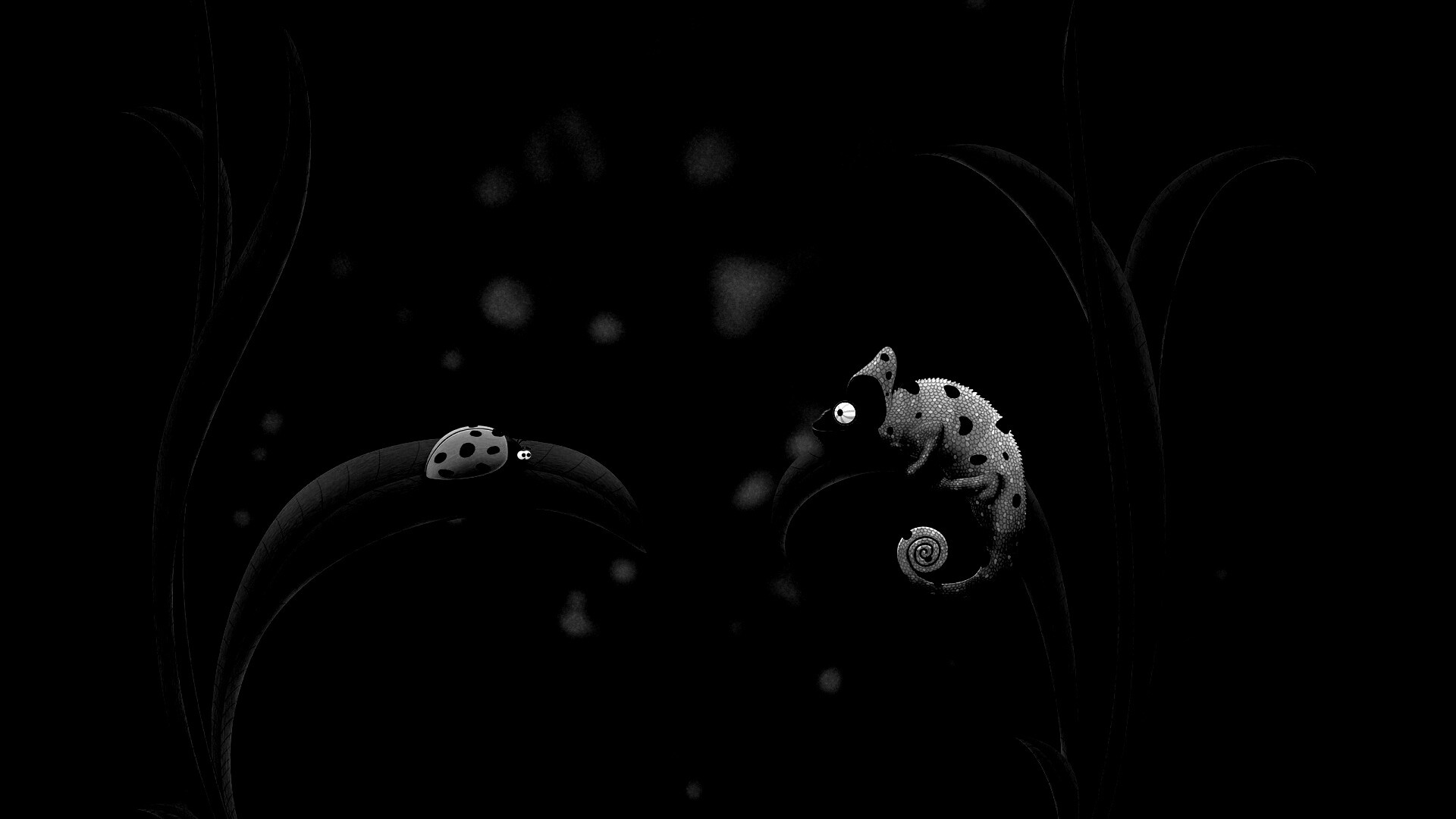 Хамелеон  замаскированный под божью коровку обои