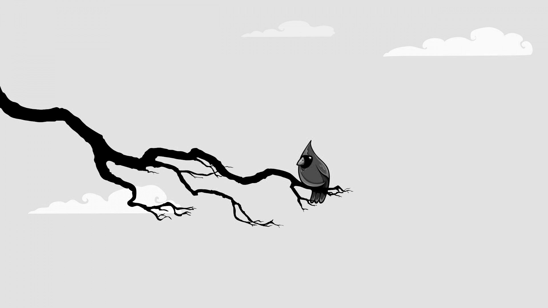 Красная птица на ветке обои