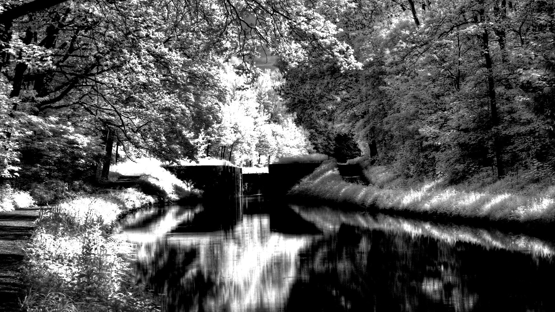 Замёрзжий канал обои