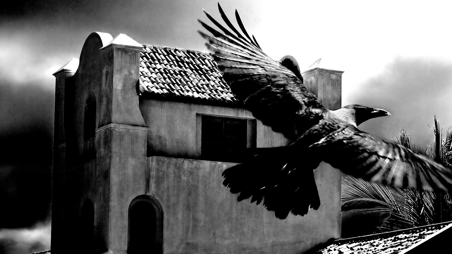 Полёт ворона обои